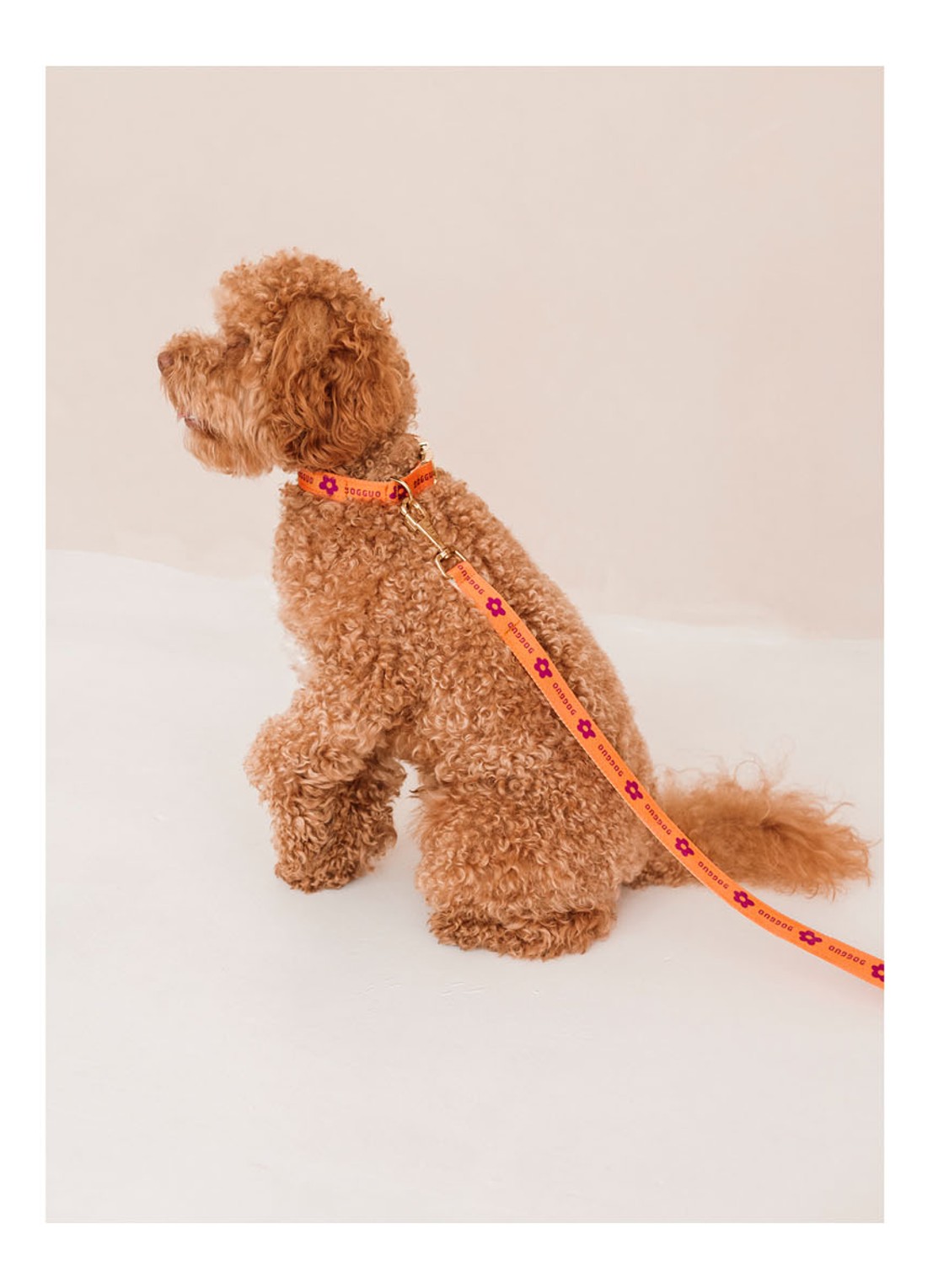 DOGGUO Flower leash hondenriem 200 cm - detail 6 oranje