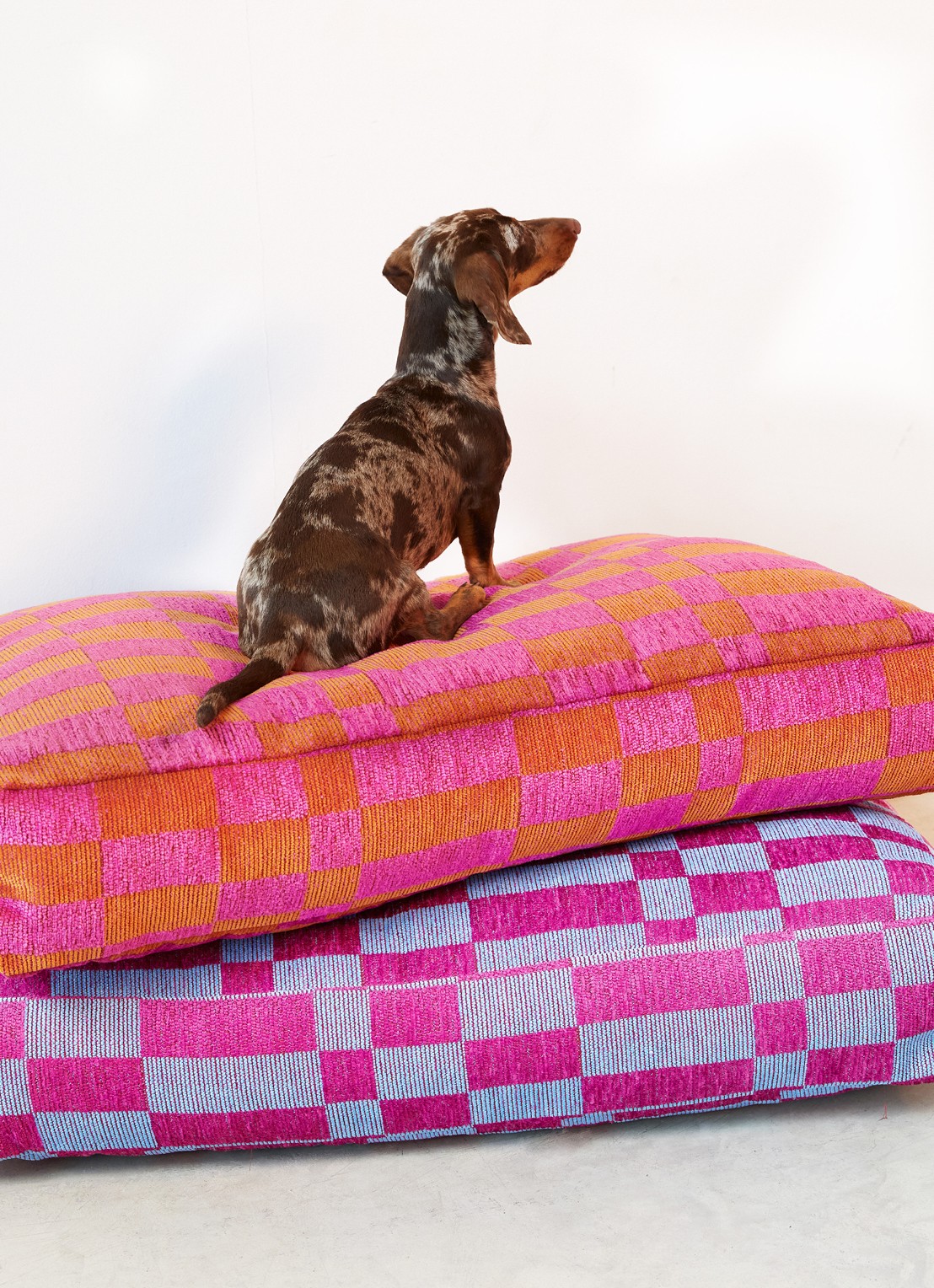 DOGGUO Hondenmand met print 85 x 55 cm - achterkant 2 roze