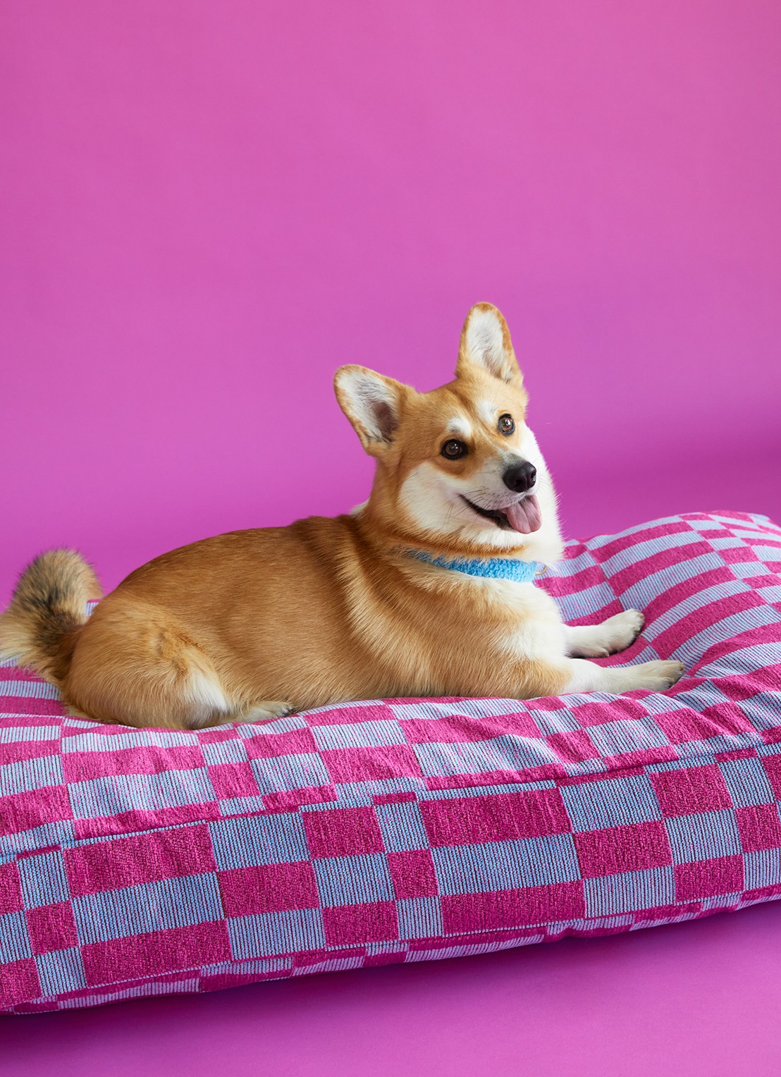 DOGGUO Hondenmand met print 85 x 55 cm - voorkant roze