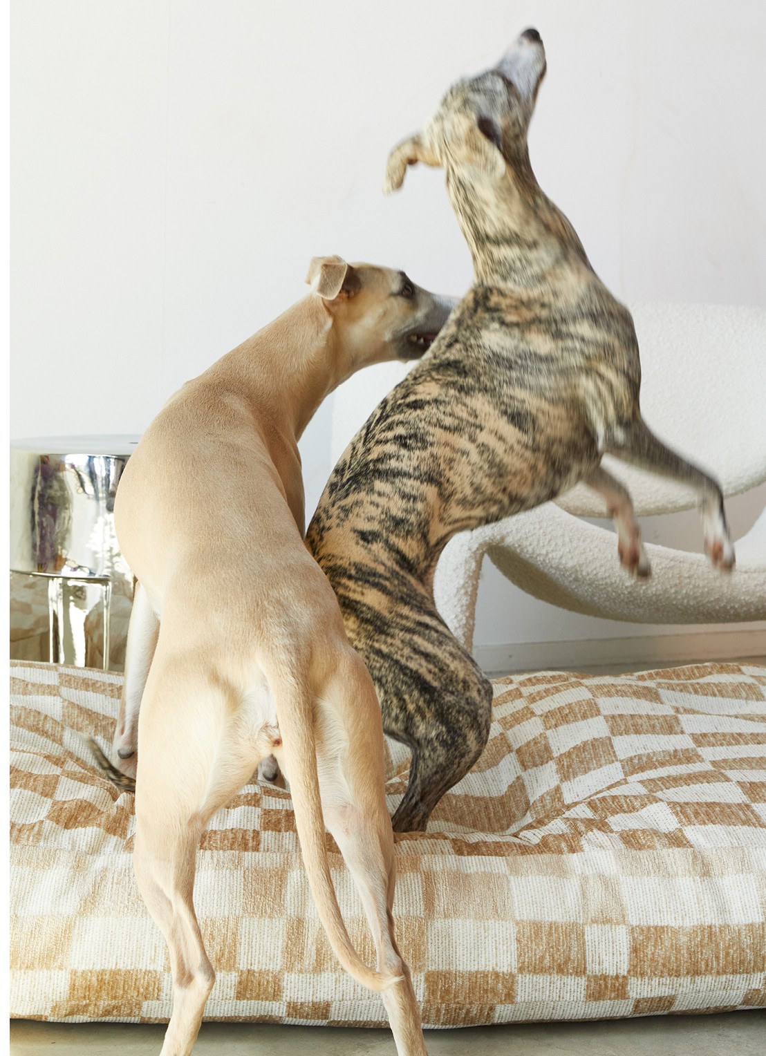 DOGGUO Hondenmand met ruitdessin 55 x 85 cm - voorkant 4 undefined