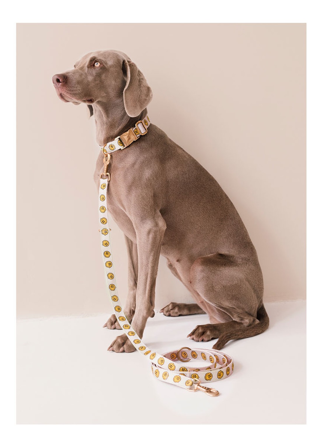 DOGGUO Smiley leash hondenriem 200 cm - voorkant 2 beige