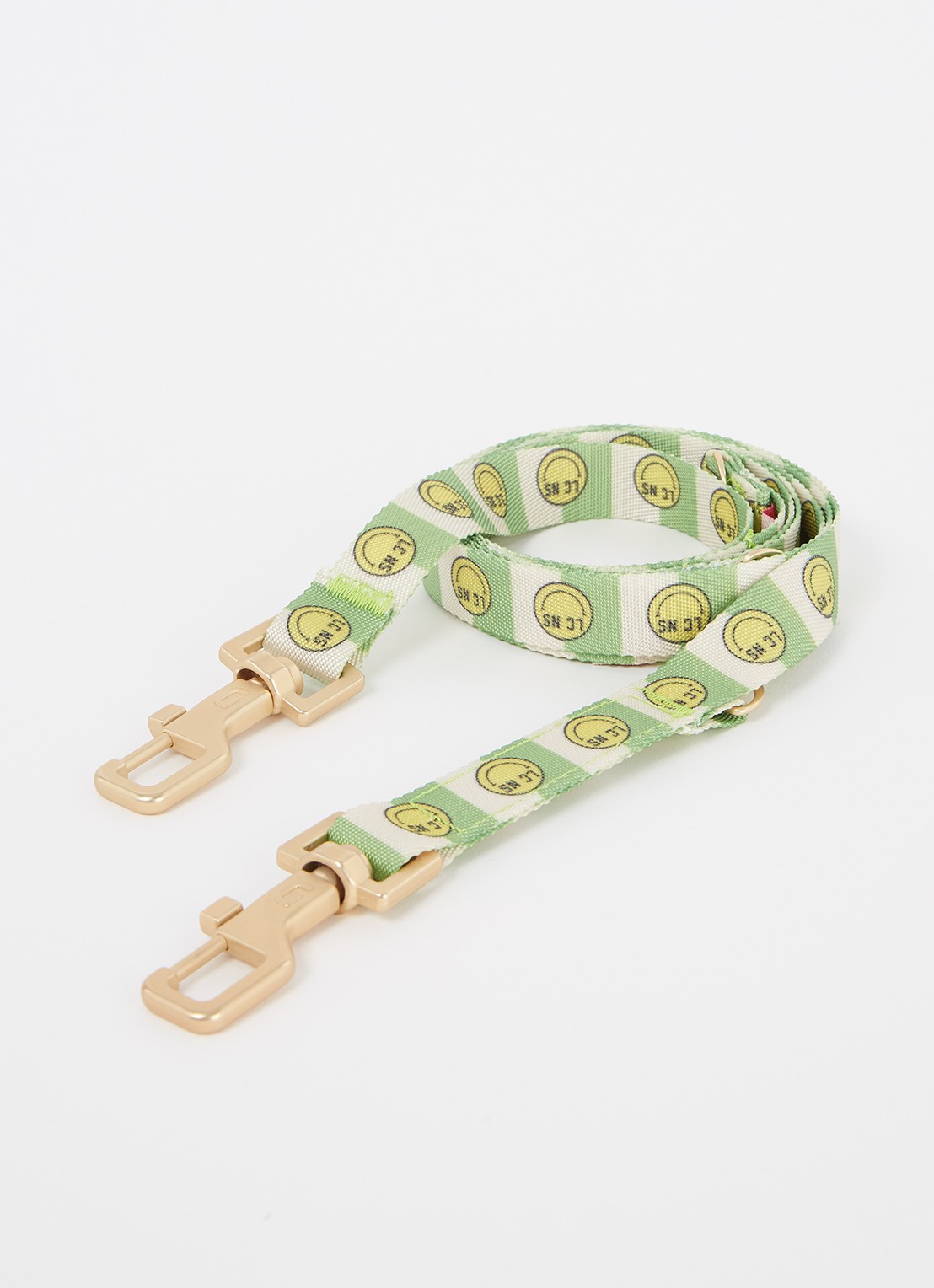 DOGGUO Smiley Leash hondenriem 200 cm - voorkant groen