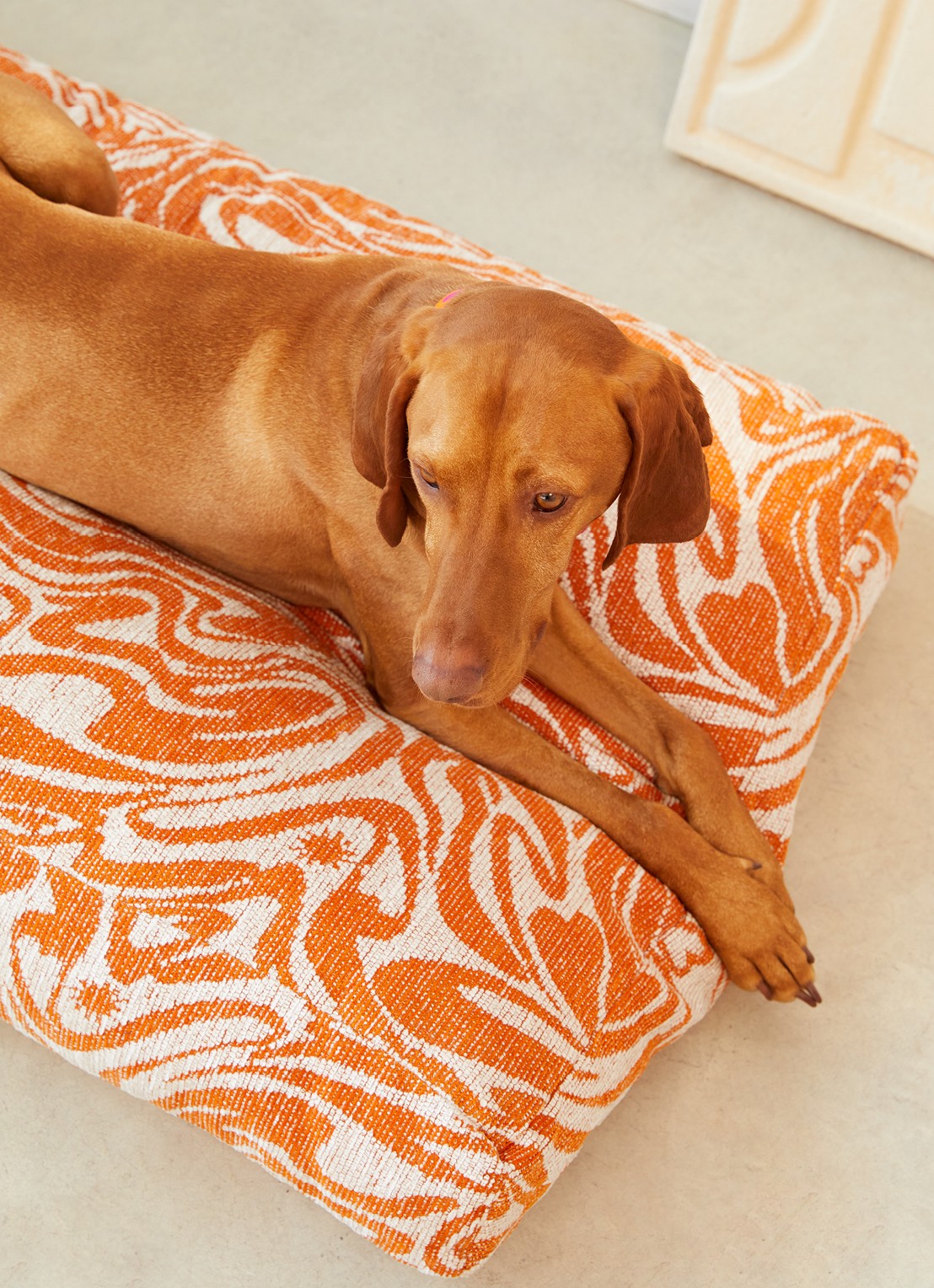 DOGGUO Swirl hondenmand met print 105 x 65 cm - achterkant oranje