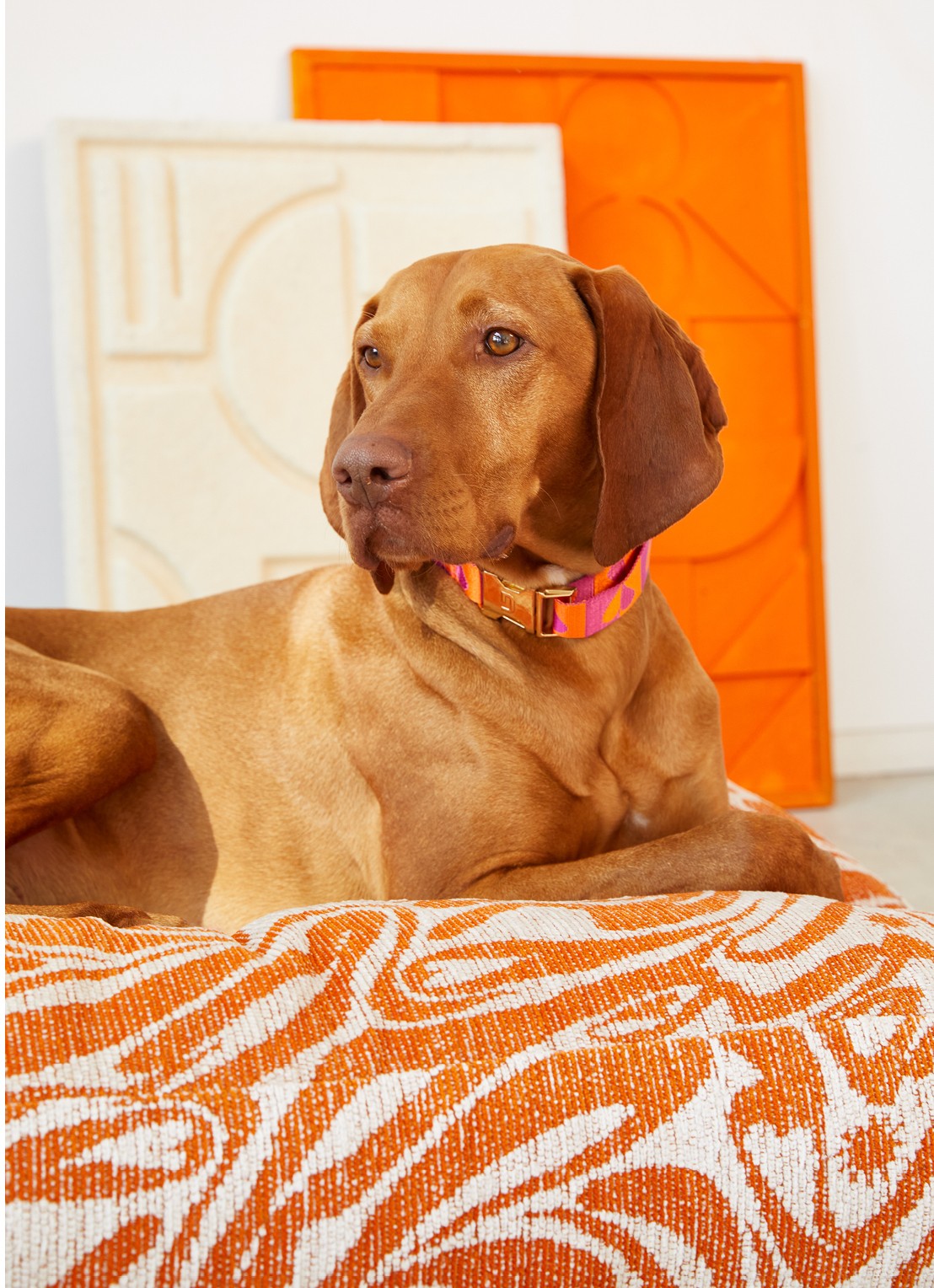 DOGGUO Swirl hondenmand met print 105 x 65 cm - voorkant 4 oranje