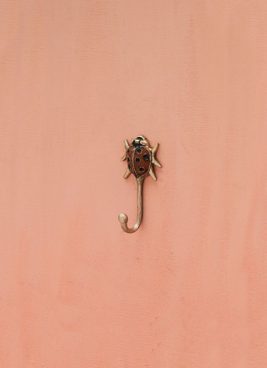 Doing Goods Lady Bug wandhaak 8,5 cm - voorkant 2 messing