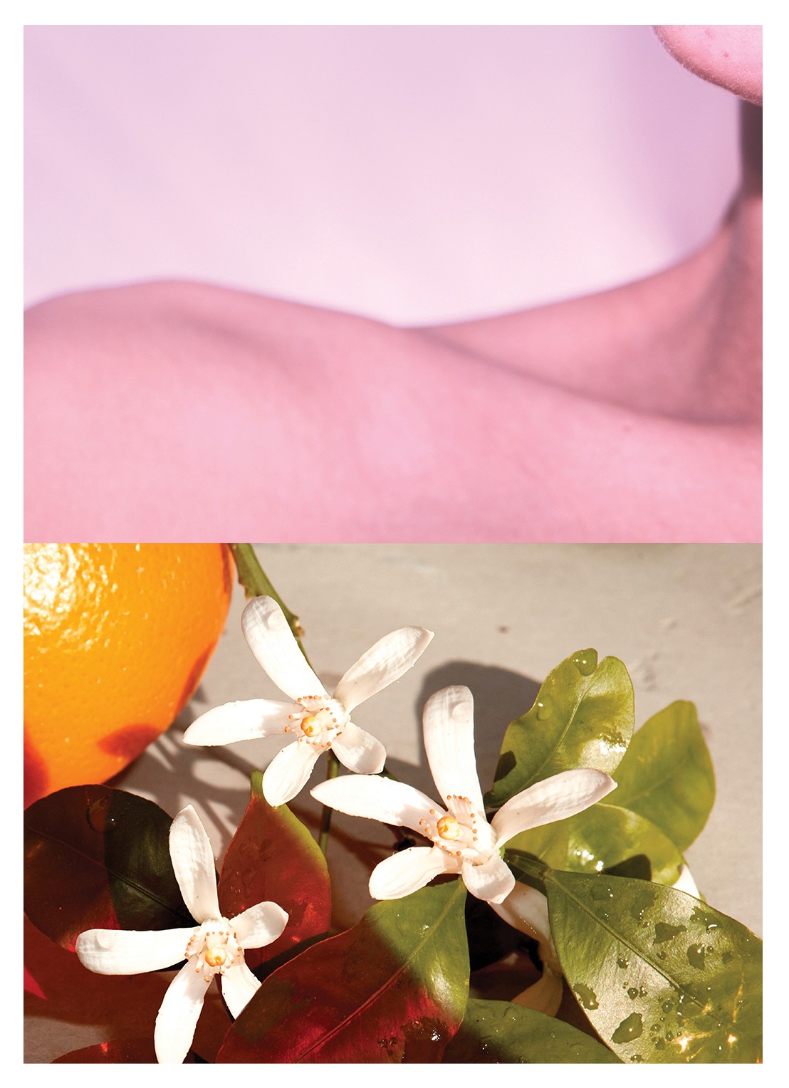 Dries Van Noten Neon Garden Eau de Parfum - detail 6 undefined