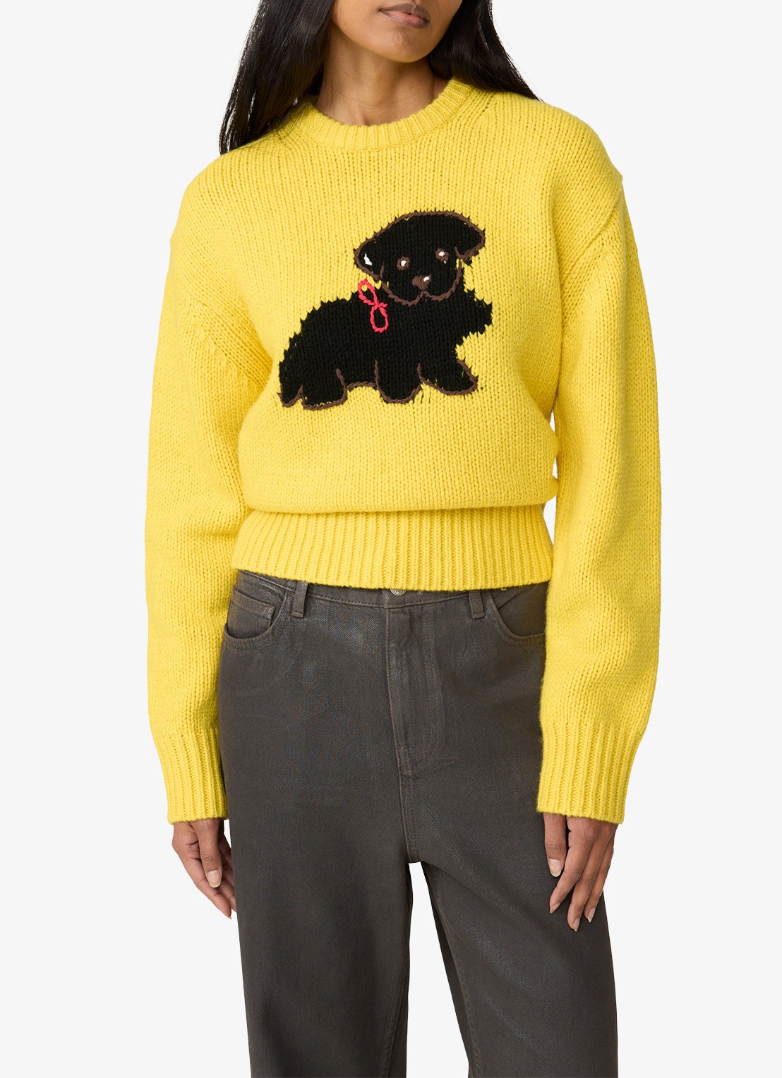 Fabienne Chapot Dog grofgebreide pullover van wol - detail 3 geel