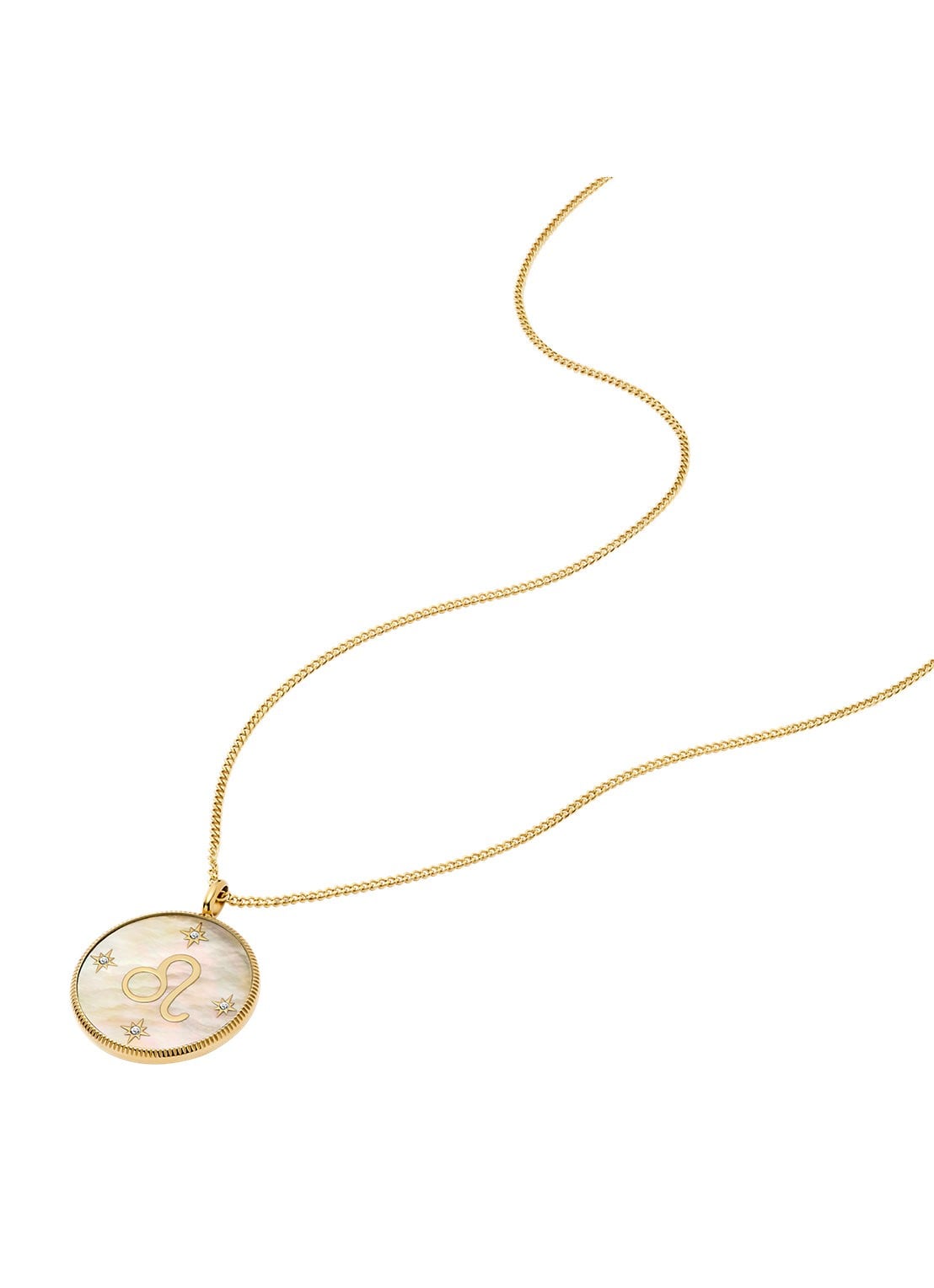 Fossil Ketting met hanger JF04842710 - detail goud