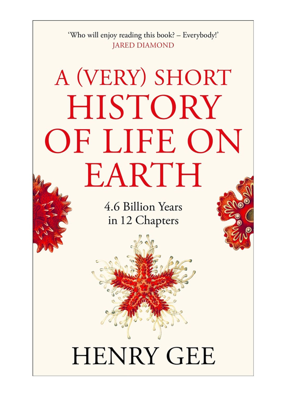 GEE H A (VERY) SHORT HISTORY O - voorkant undefined