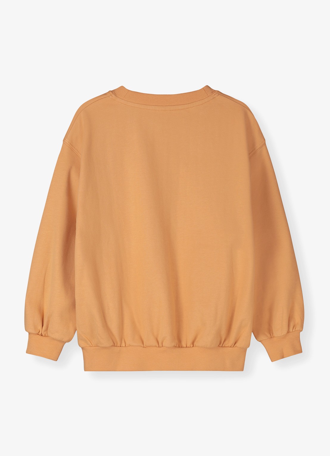 Gray Label Sweater met ronde hals - achterkant 4 oranje