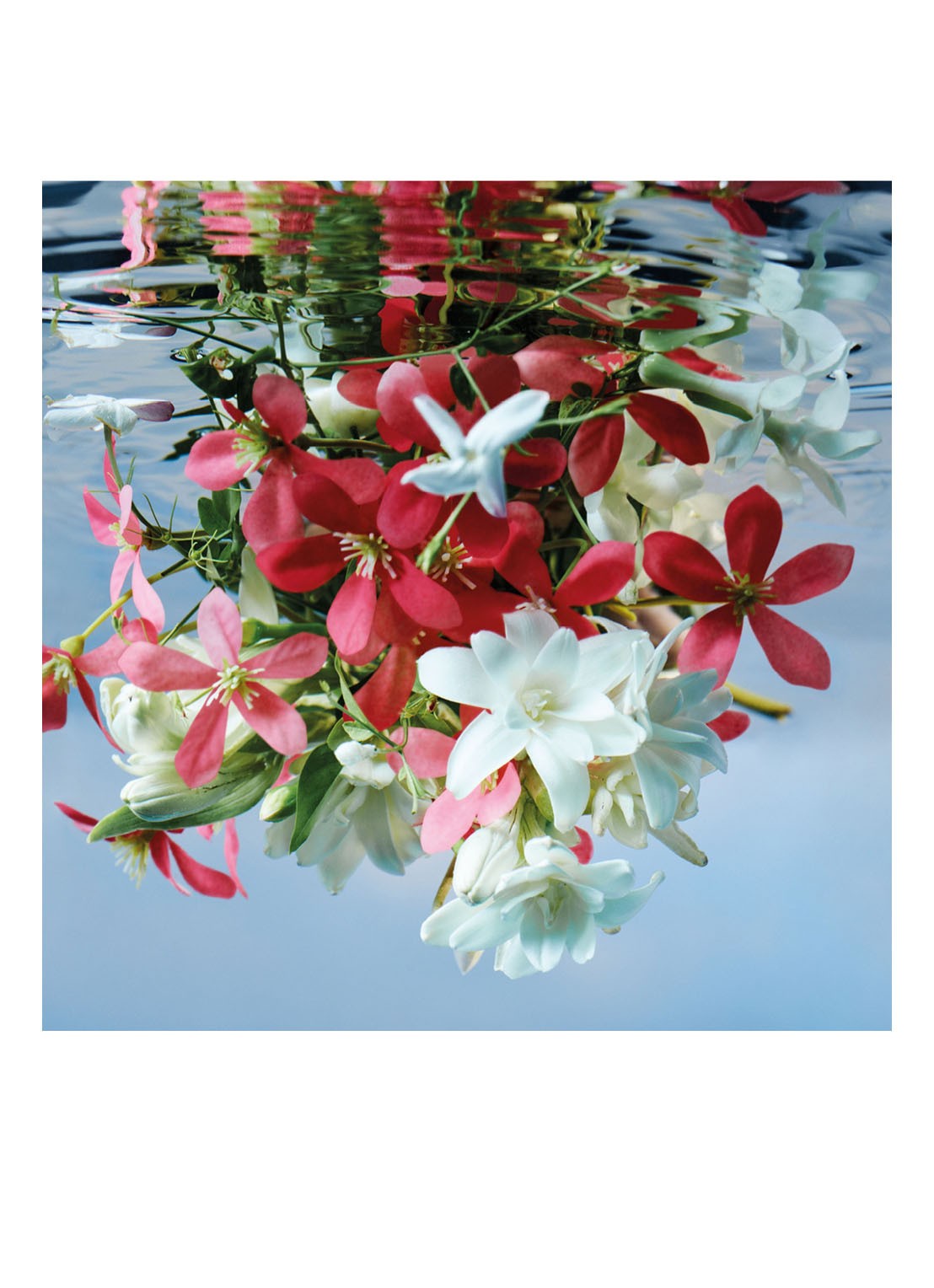 Gucci Gucci Bloom Eau de Parfum - detail 5 undefined