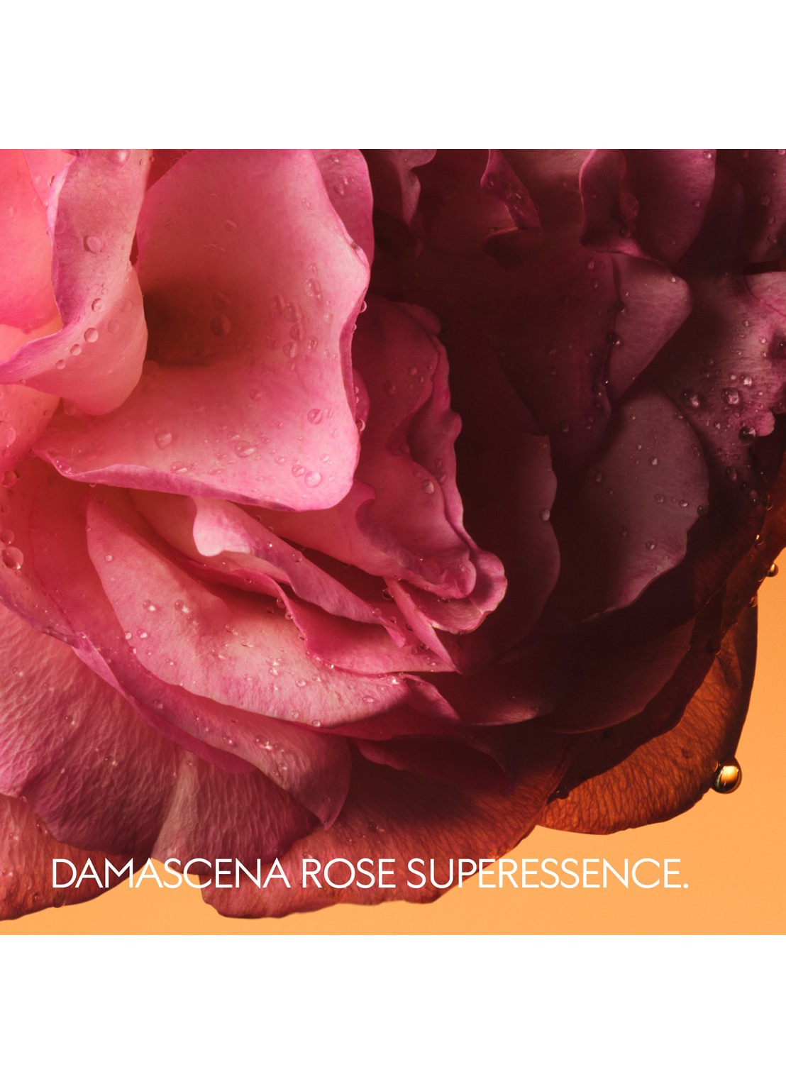 Gucci Rosa Sublime Eau de Parfum - detail 4 undefined
