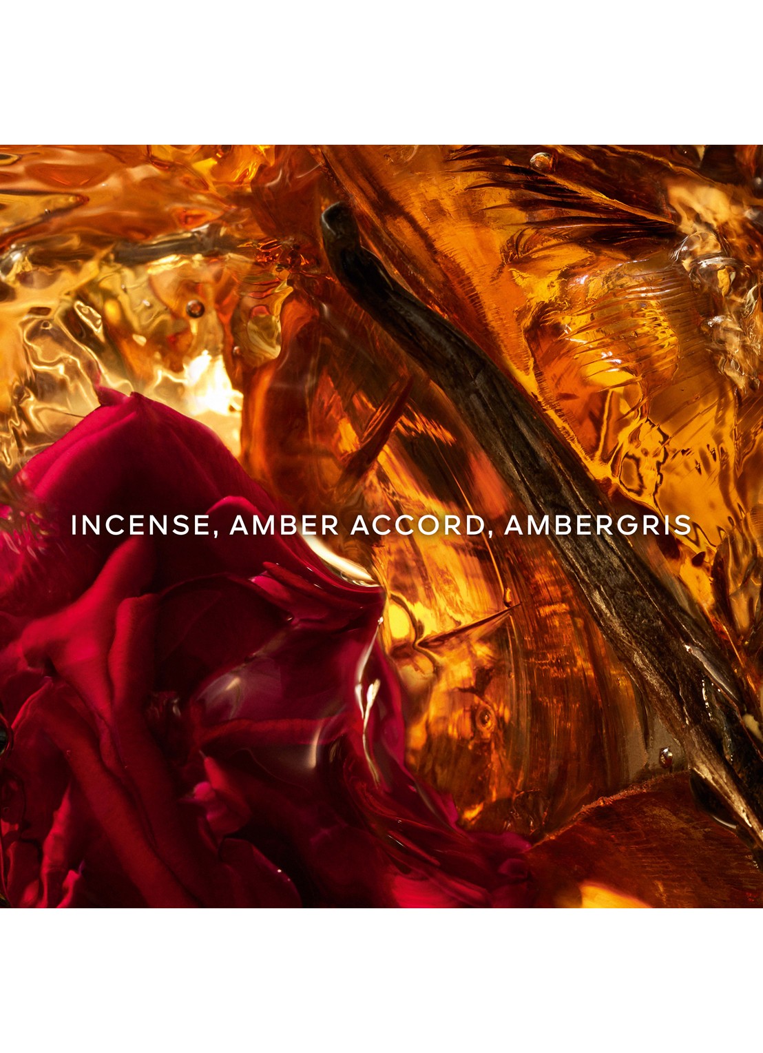 Guerlain Absolus Allegoria Ambre Samar Eau de Parfum - detail 2 undefined