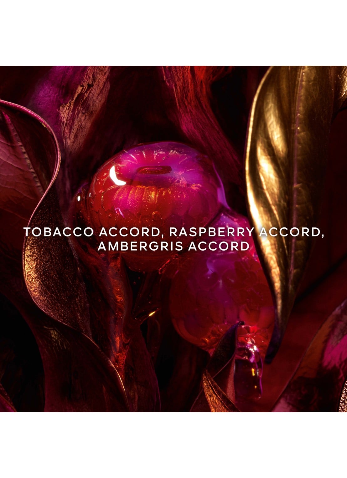 Guerlain Absolus Allegoria Tabac Sahara Eau de Parfum - detail 4 undefined