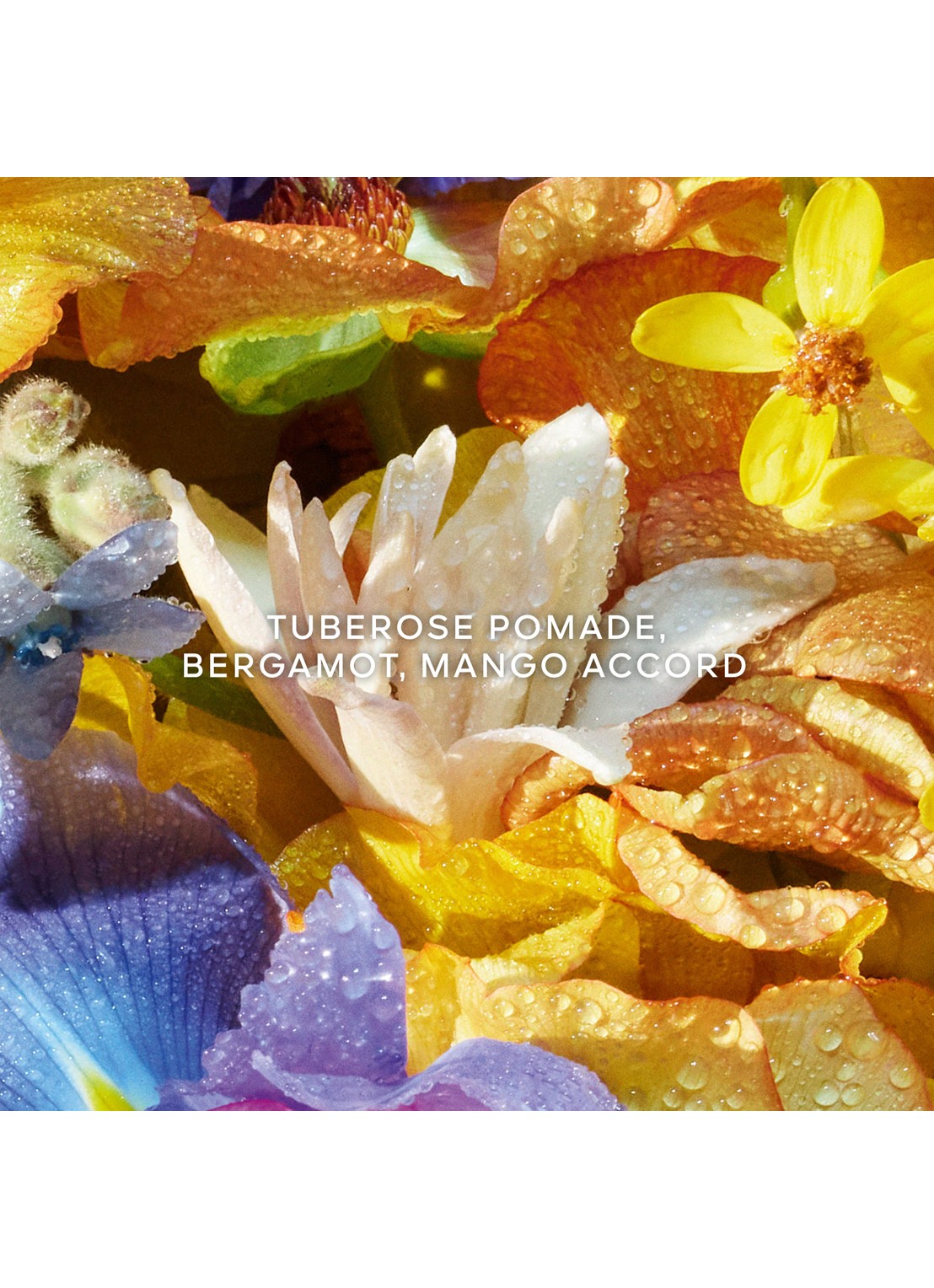 Guerlain Aqua Allegoria Florabloom Eau de Toilette - detail 3 undefined
