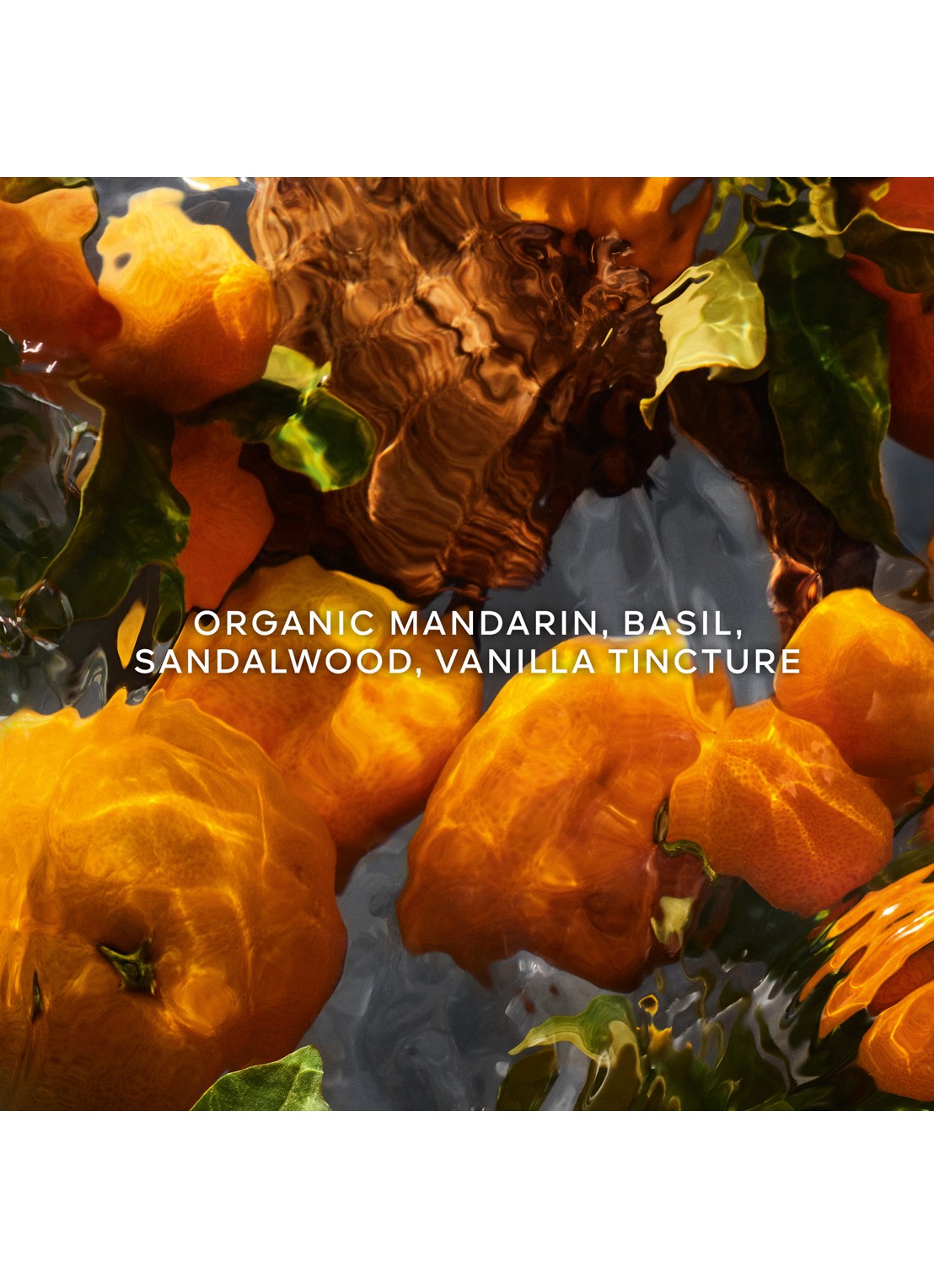 Guerlain Aqua Allegoria Forte Mandarine Basilic Eau de Parfum - detail 3 undefined
