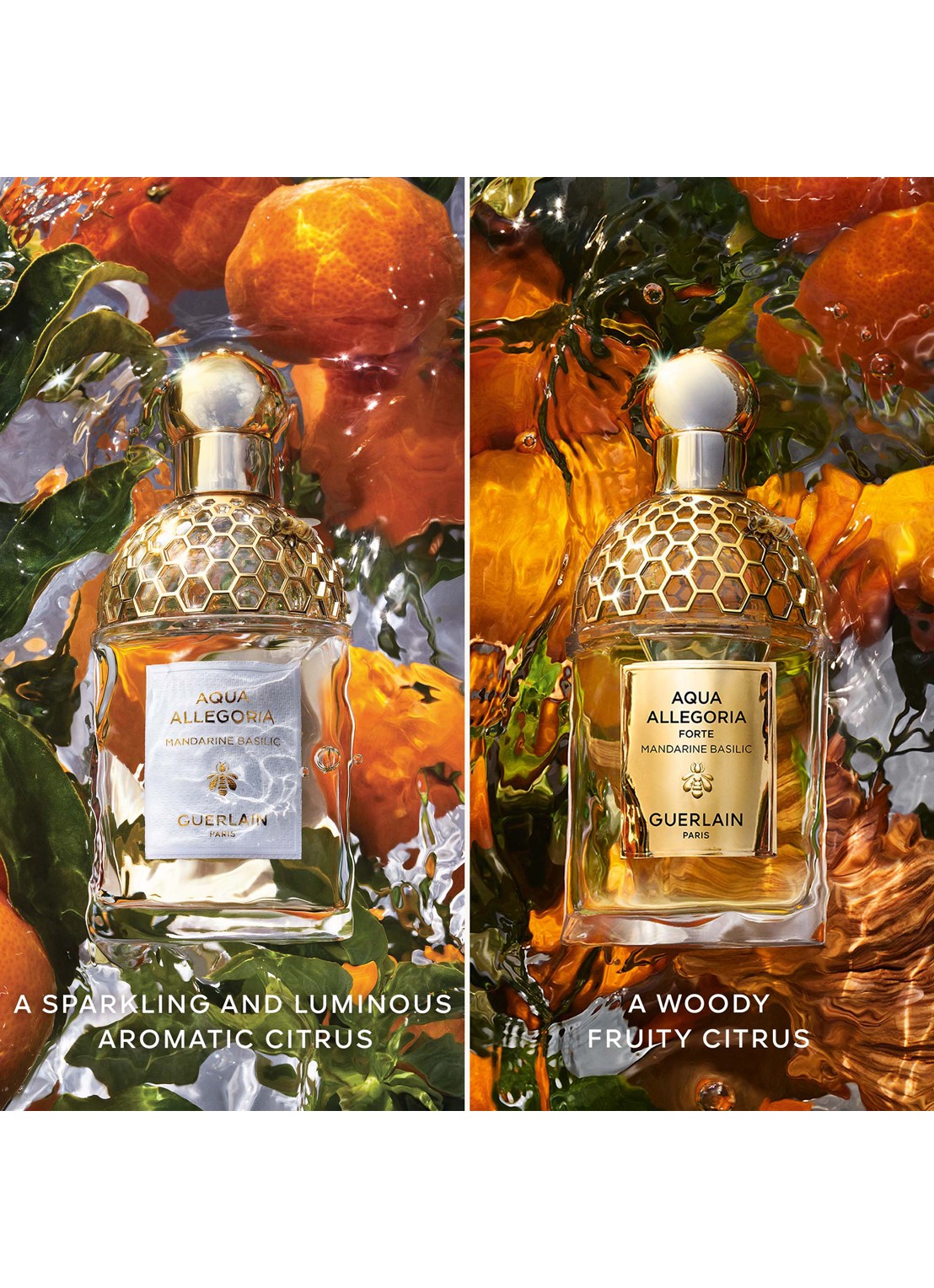 Guerlain Aqua Allegoria Forte Mandarine Basilic Eau de Parfum - detail 4 undefined