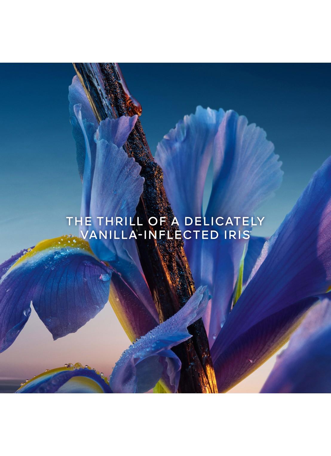 Guerlain L’Heure Bleue – geparfumeerde zeep - detail undefined