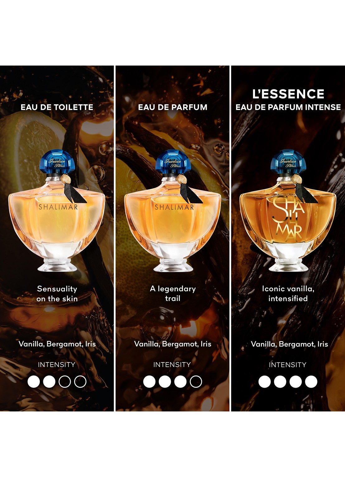 Guerlain Shalimar L'Essence - Eau de Parfum Intense - achterkant undefined