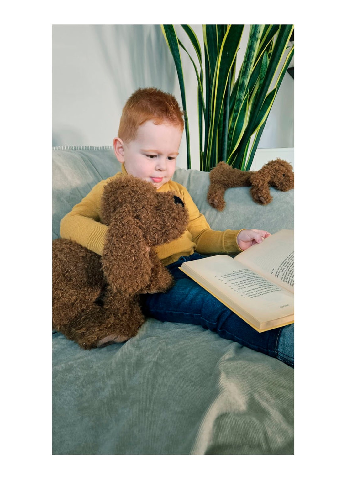 Happy Horse Labradoodle Larry no. 1 knuffel 28 cm - voorkant 3 bruin