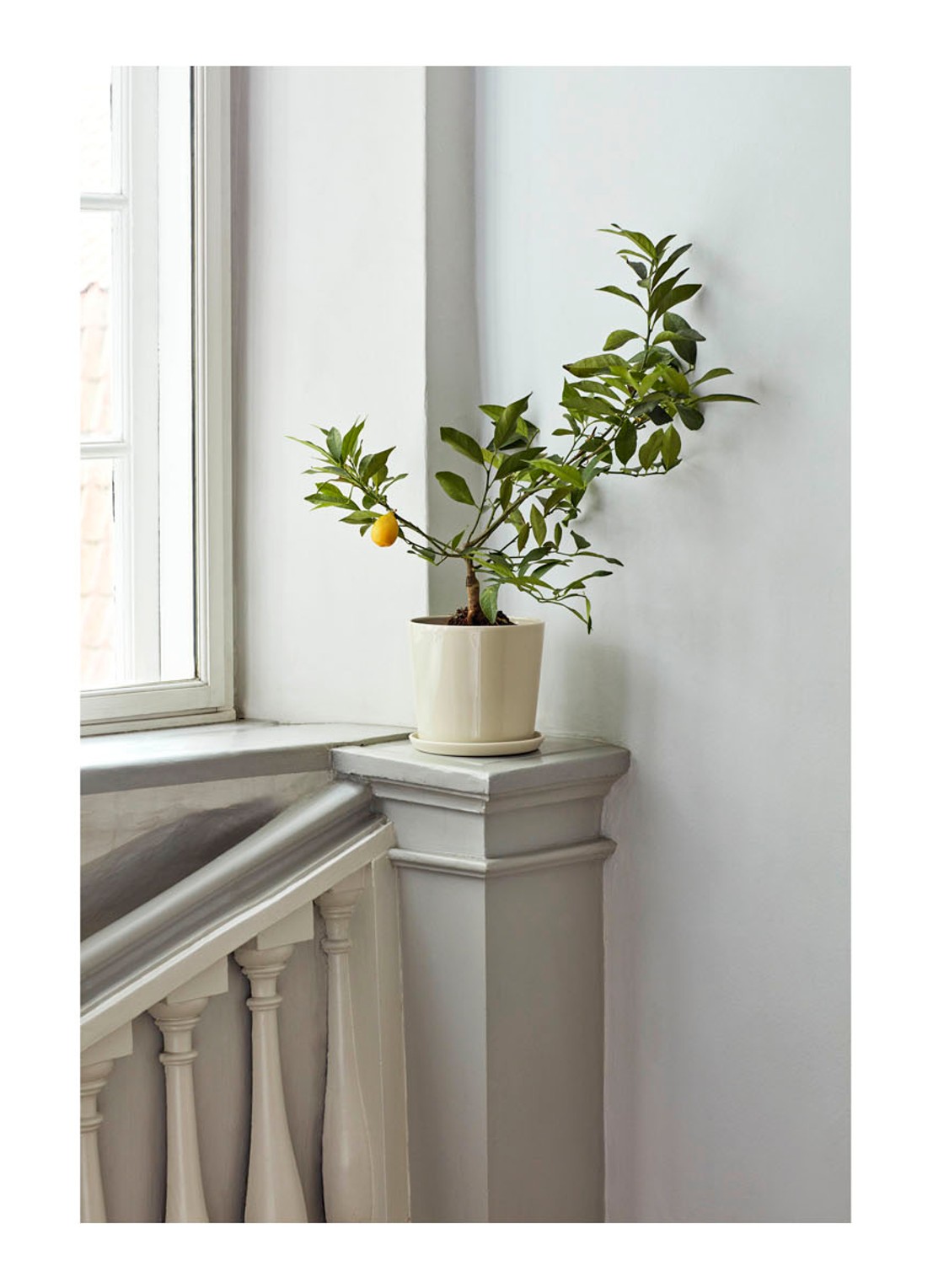 Hay Botanical Family bloempot L voor binnen - 18 cm - voorkant 3 gebroken wit