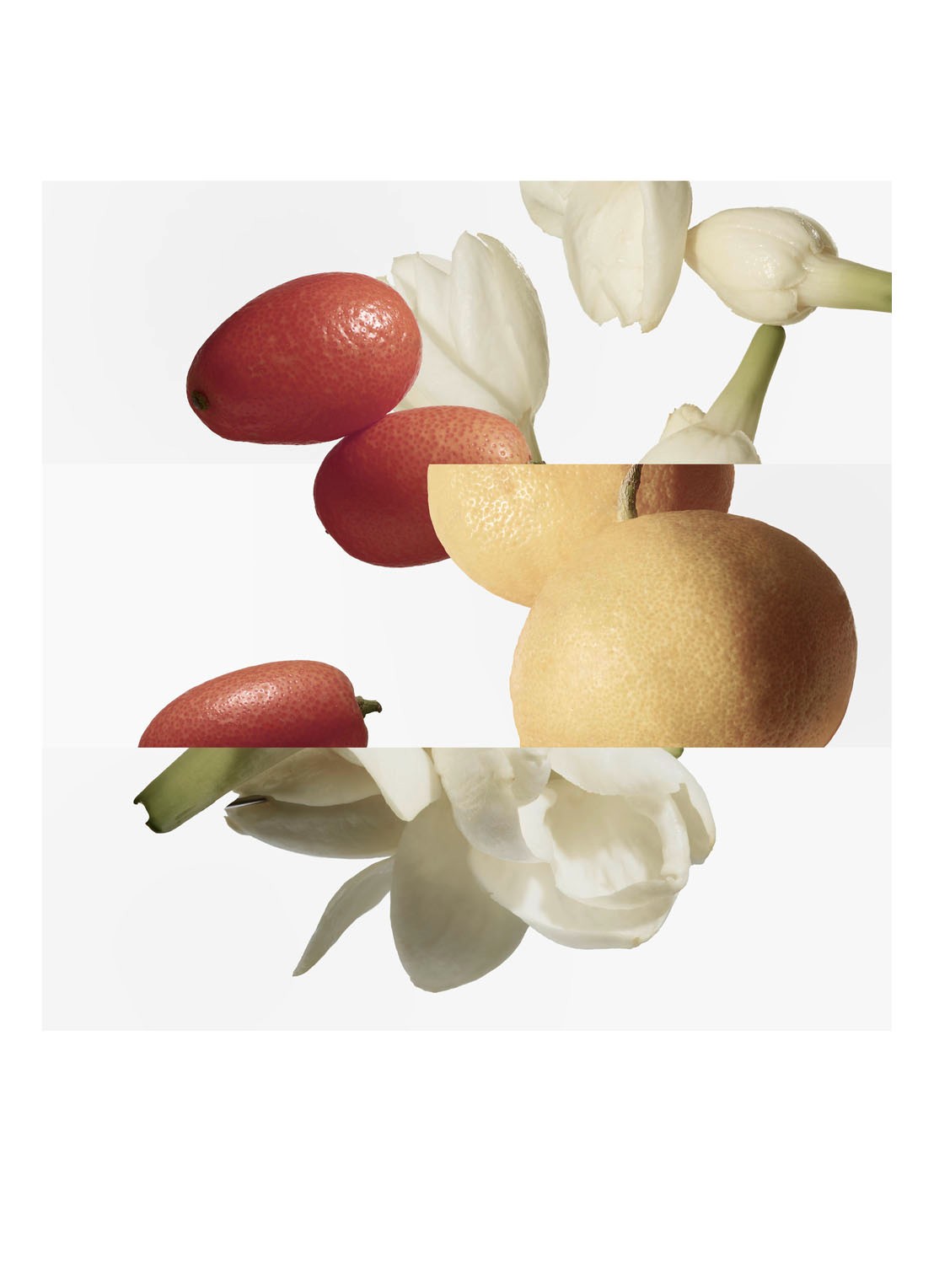 HERMÈS Le Jardin de Monsieur Li Eau de Toilette - navulling - voorkant 4 undefined