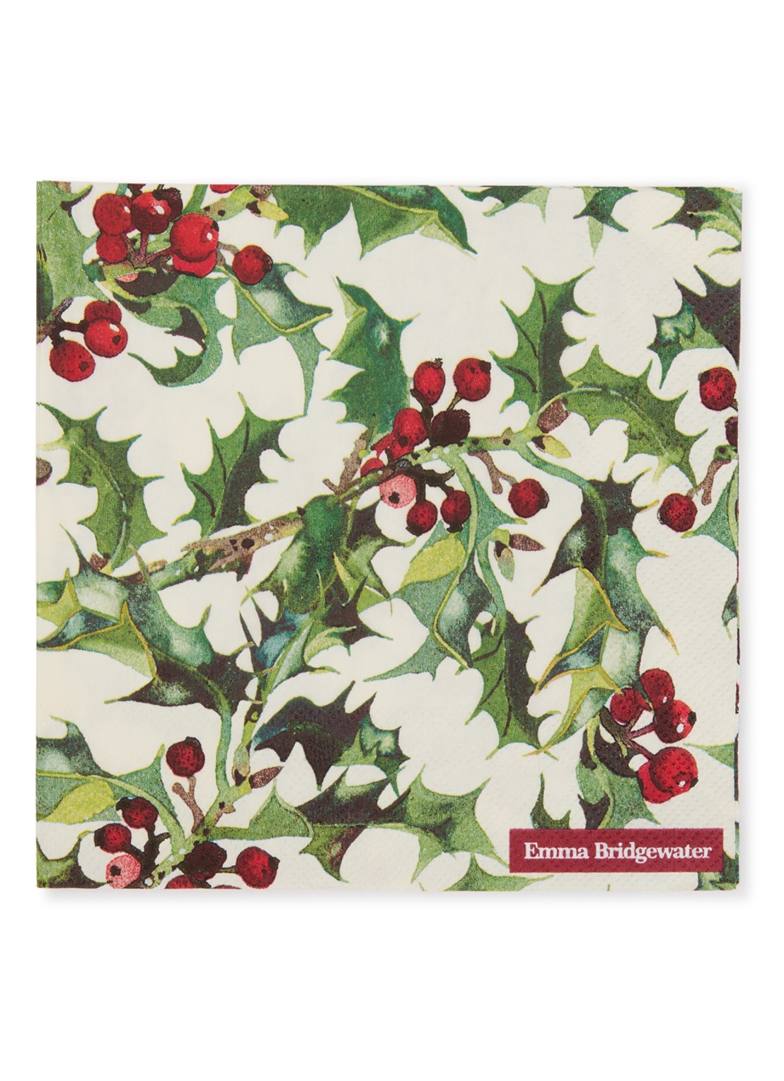 Ihr Ideal Home Holly servetten 33 x 33 cm - voorkant creme