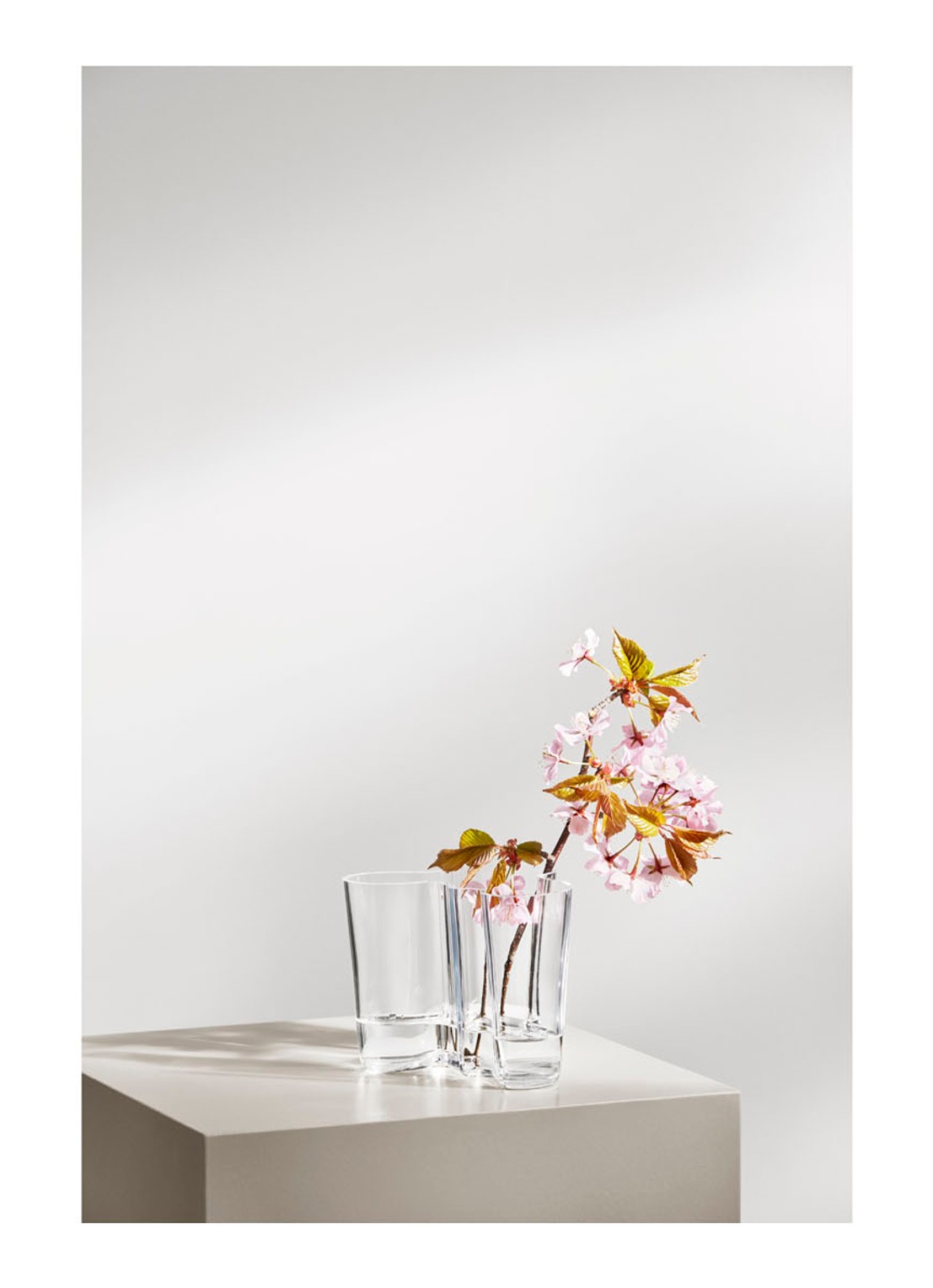 Iittala Alvar Aalto vaas 12 cm - detail 2 transparant