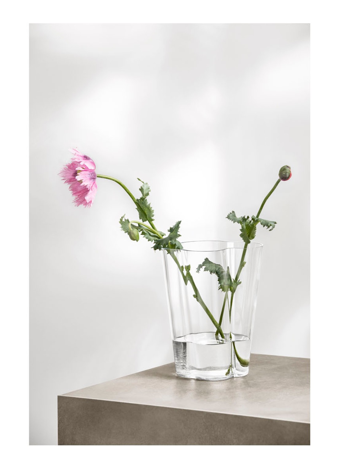 Iittala Alvar Aalto vaas 27 cm - detail 3 transparant