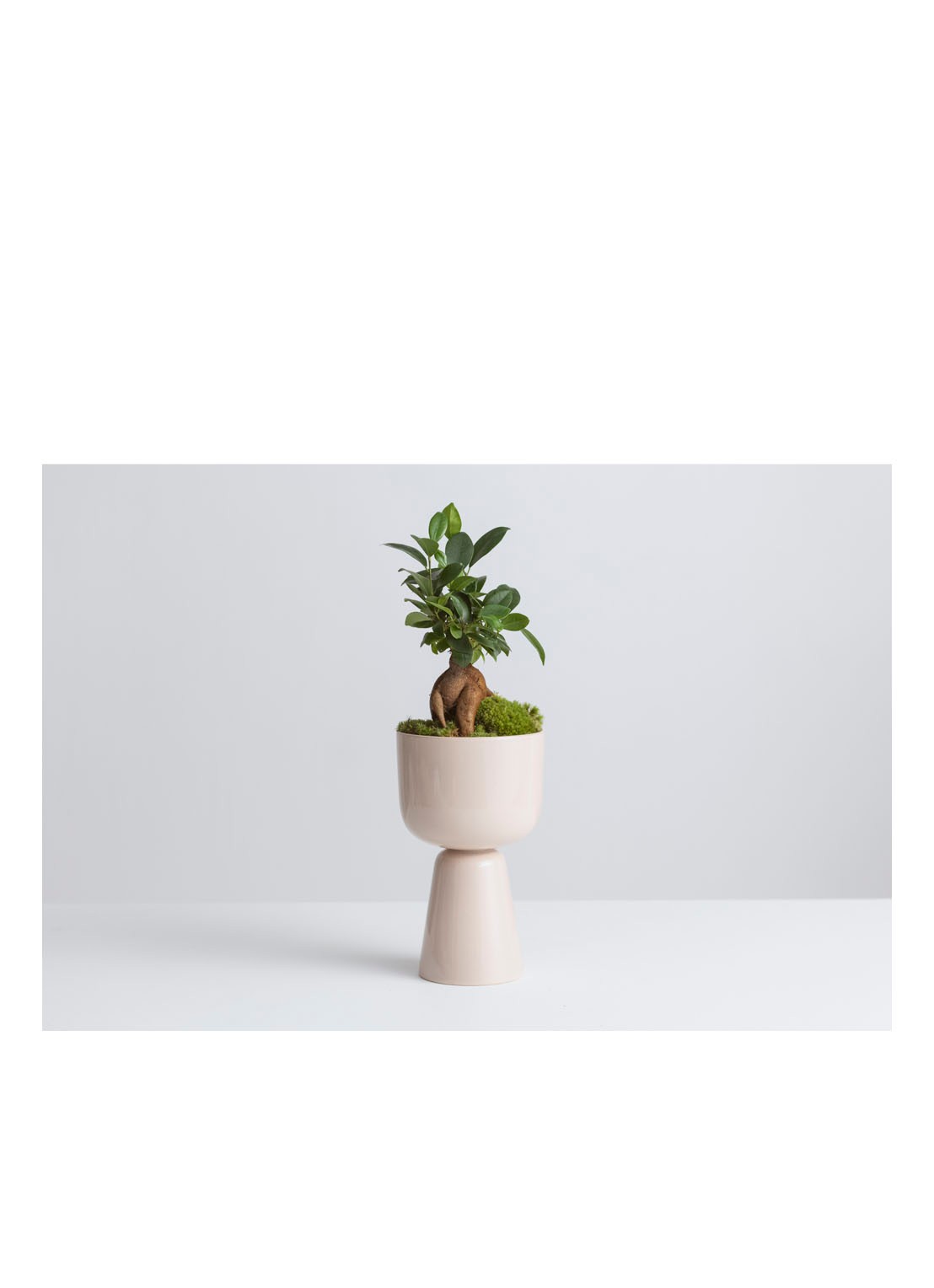 Iittala Nappula bloempot van keramiek voor binnen Ø15,5 cm - detail 3 creme