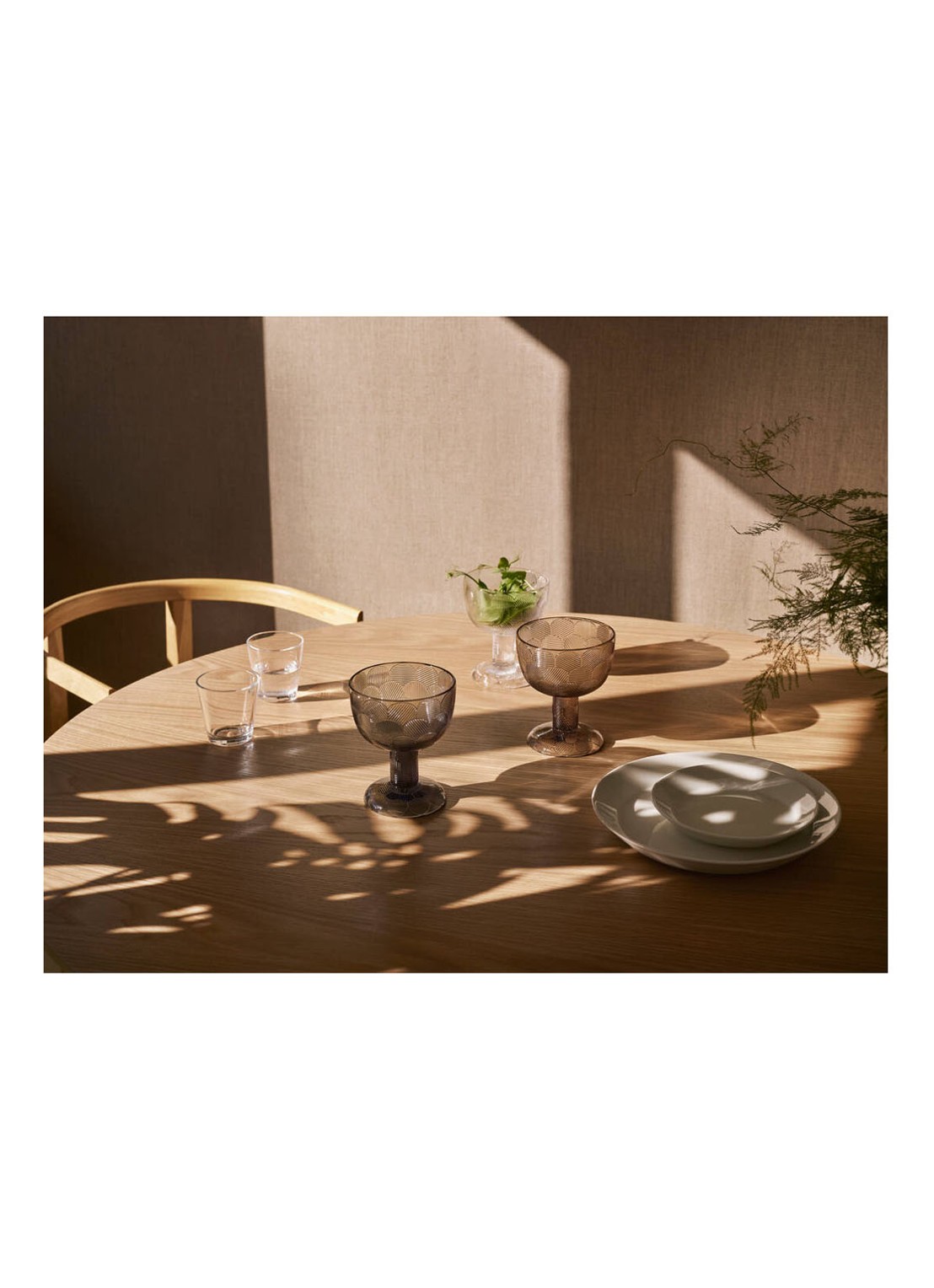 Iittala Teema dinerbord 26 cm - detail 2 wit