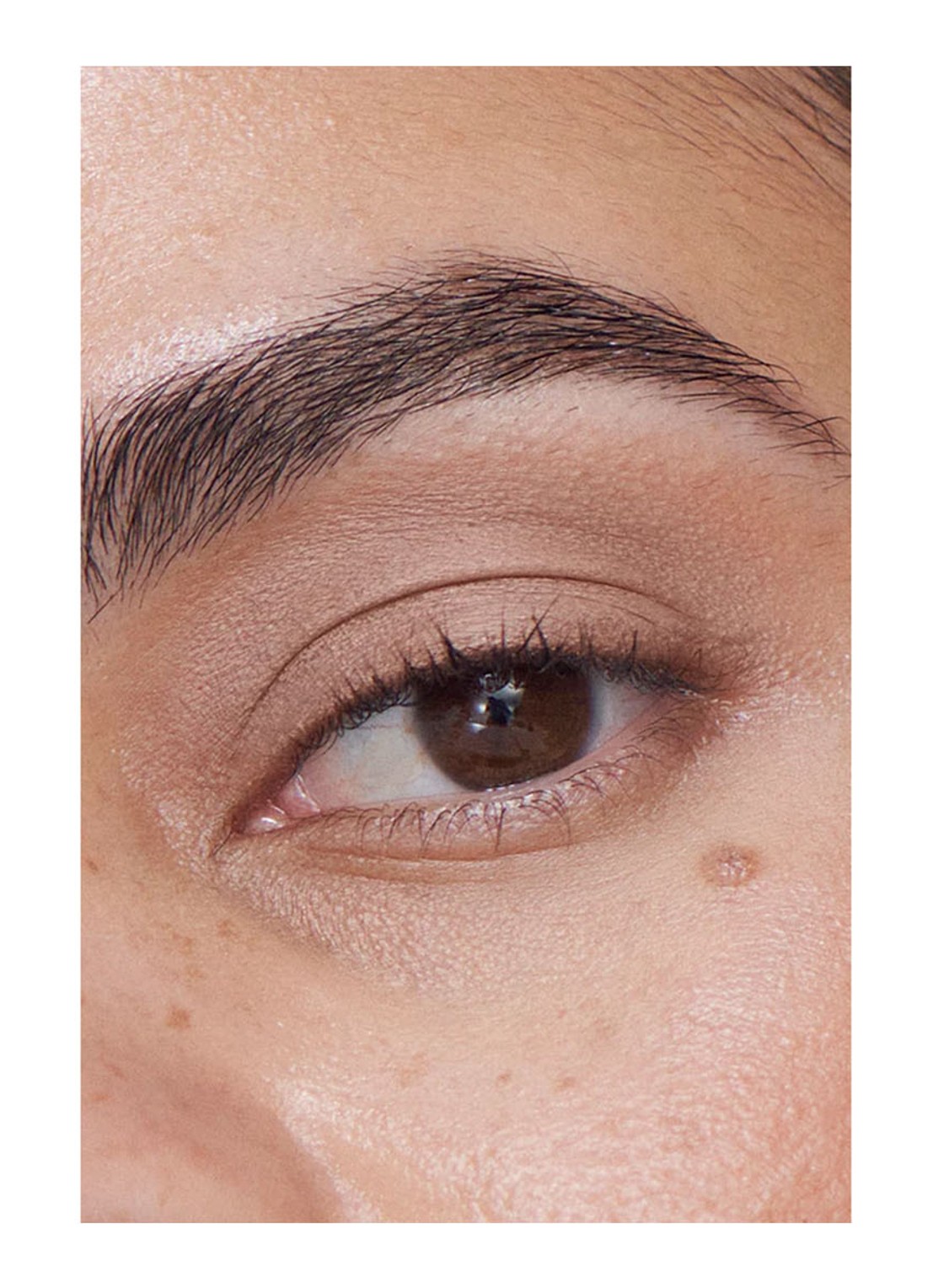 ILIA Beauty Liquid Powder Matte Eye Tint - vloeibare oogschaduw - detail 5 cork