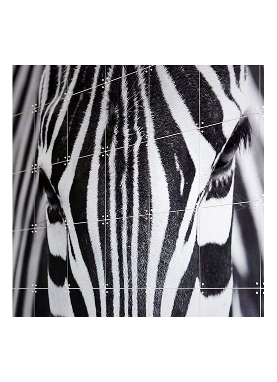 IXXI Zebra wanddecoratie 80 x 120 cm - detail 3 grijs