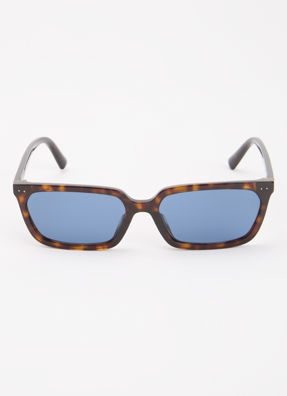 Jimmy Choo Retro zonnebril JC5050U - detail 2 bruin