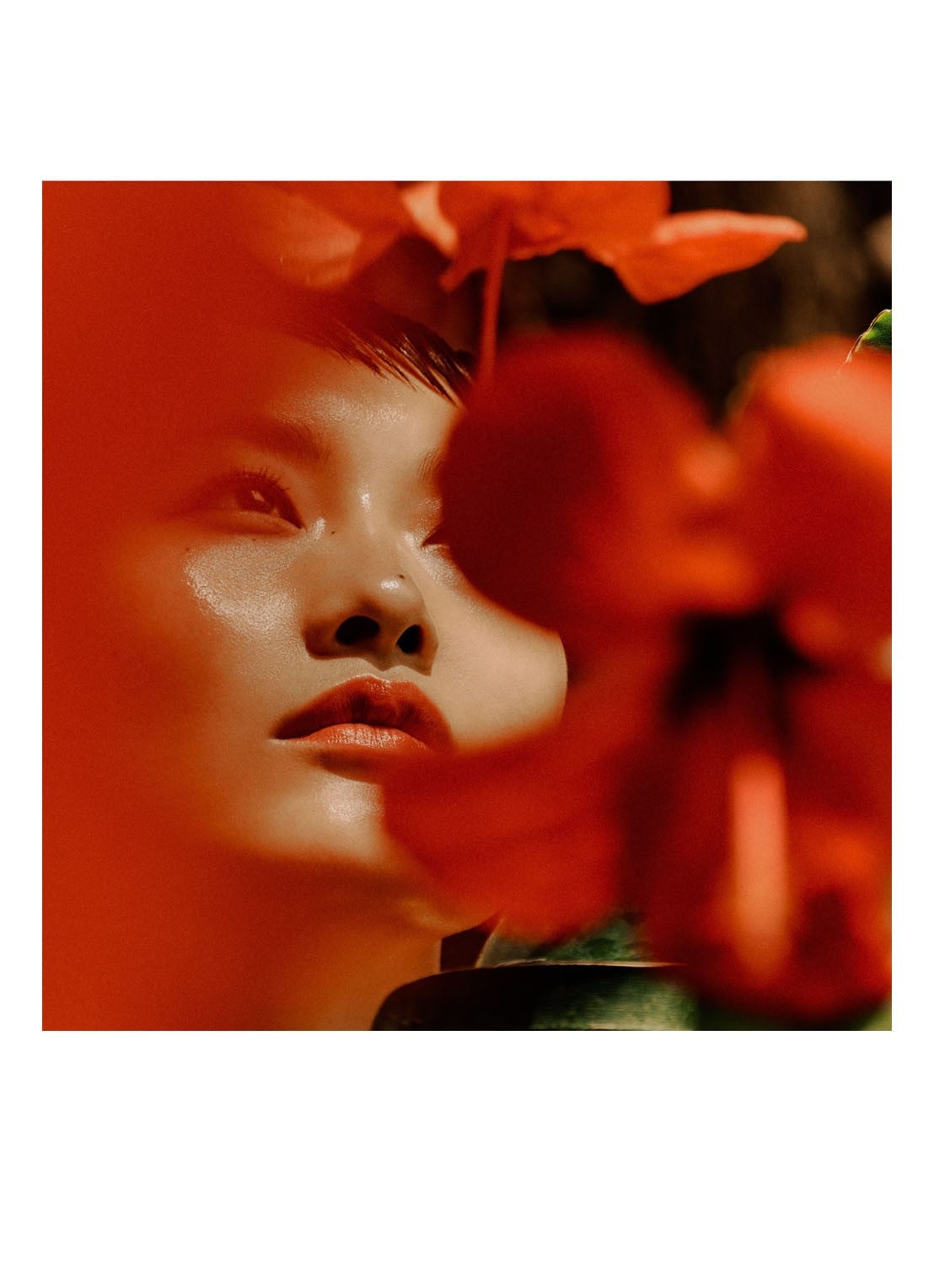Jo Malone London Cologne Intense Red Hibiscus - detail 5 undefined