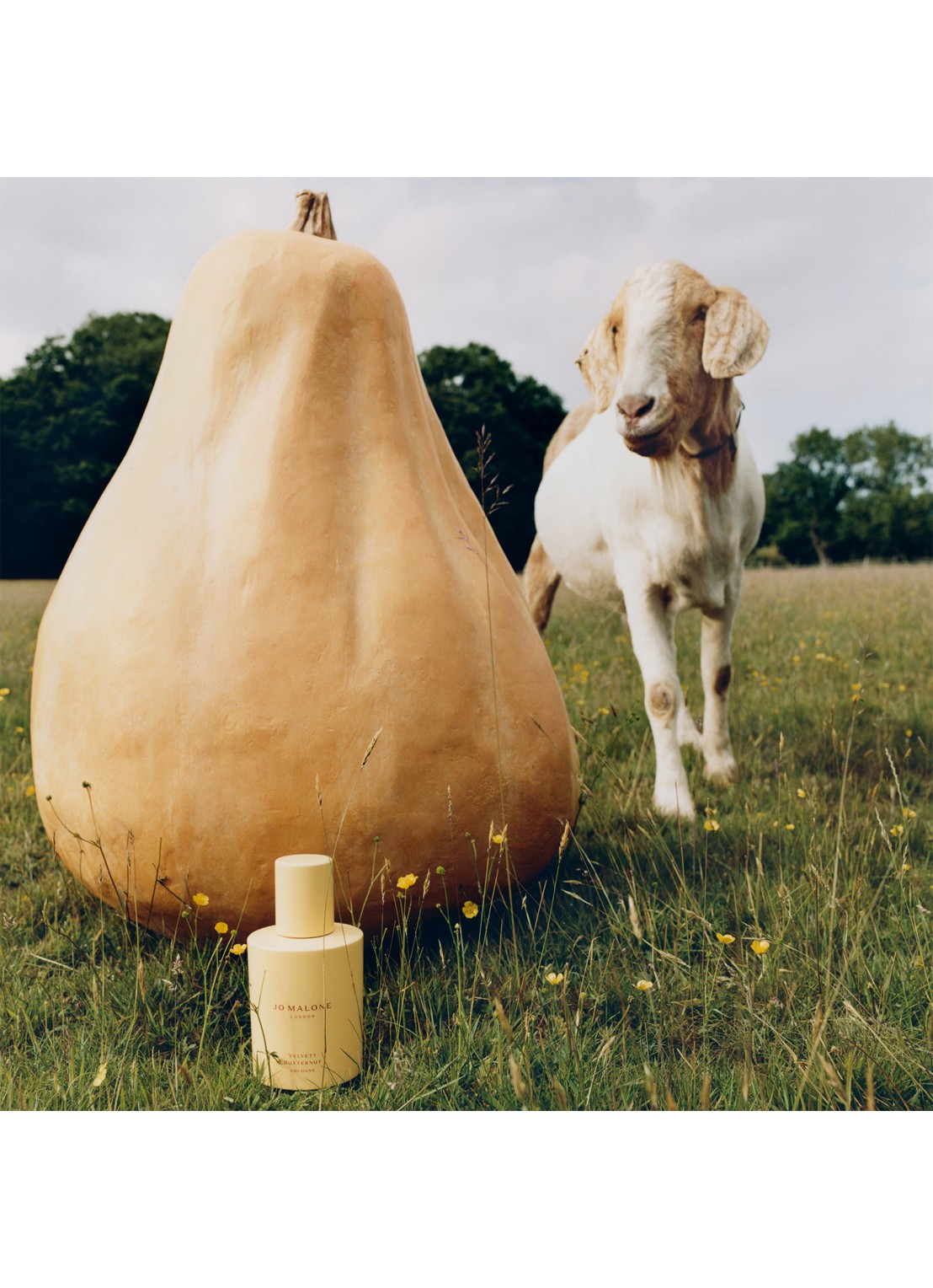 Jo Malone London Cologne Velvety Butternut - Eau de Toilette - detail 4 undefined