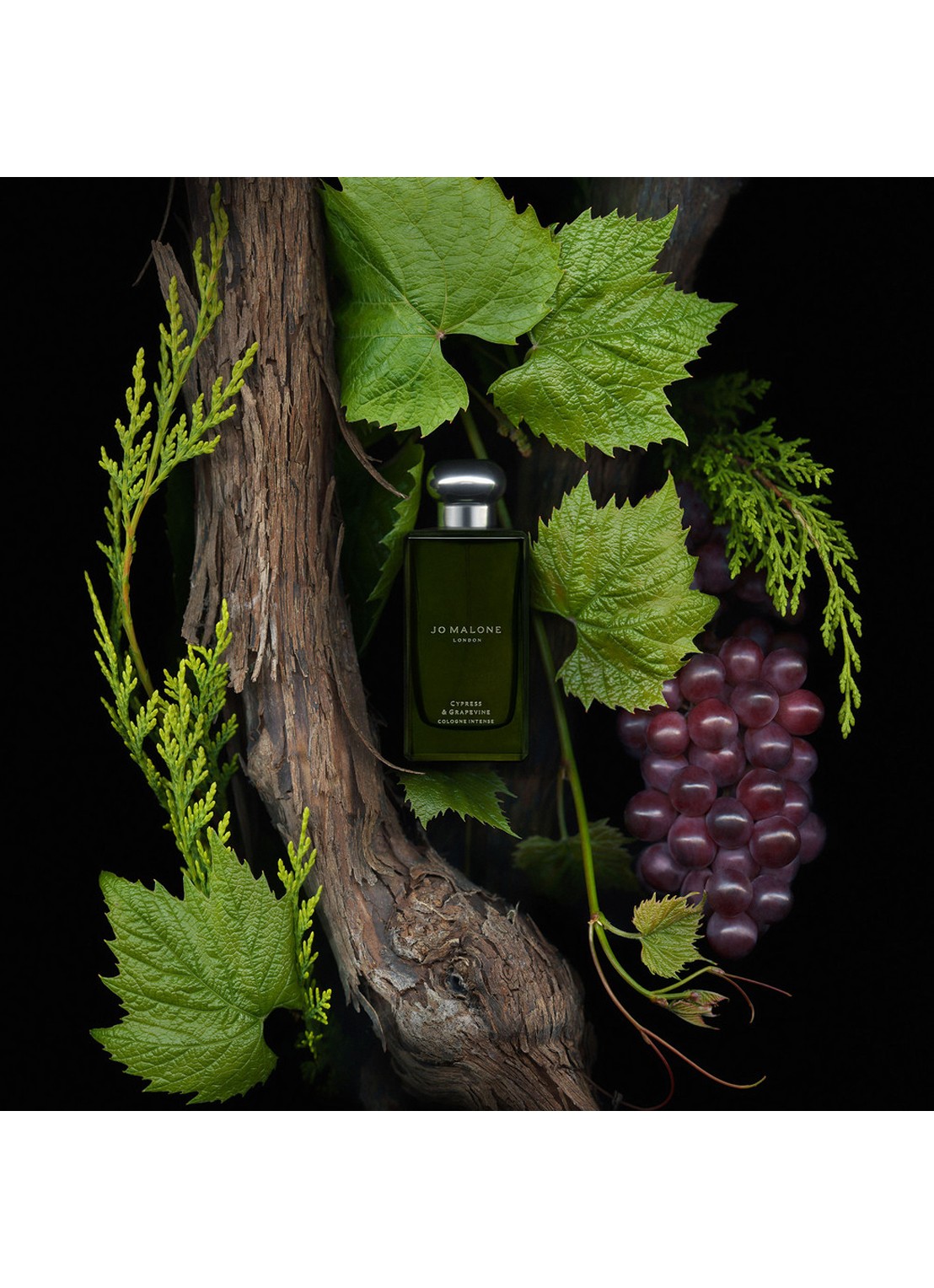 Jo Malone London Cypress & Grapevine Everywhere & More Set - parfumset - voorkant 3 undefined