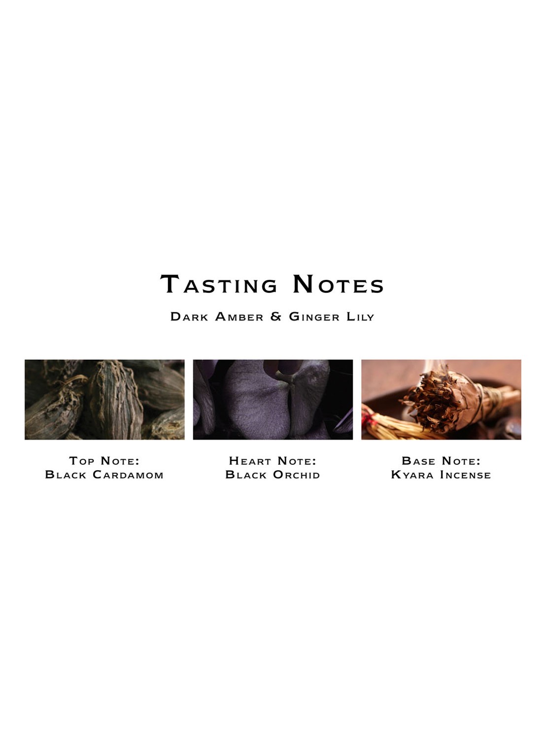 Jo Malone London Dark Amber & Ginger Lily Cologne - detail 6 undefined