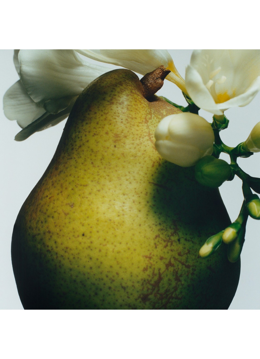 Jo Malone London English Pear & Freesia Body & Hand Wash - douchegel & handzeep - voorkant 2 undefined