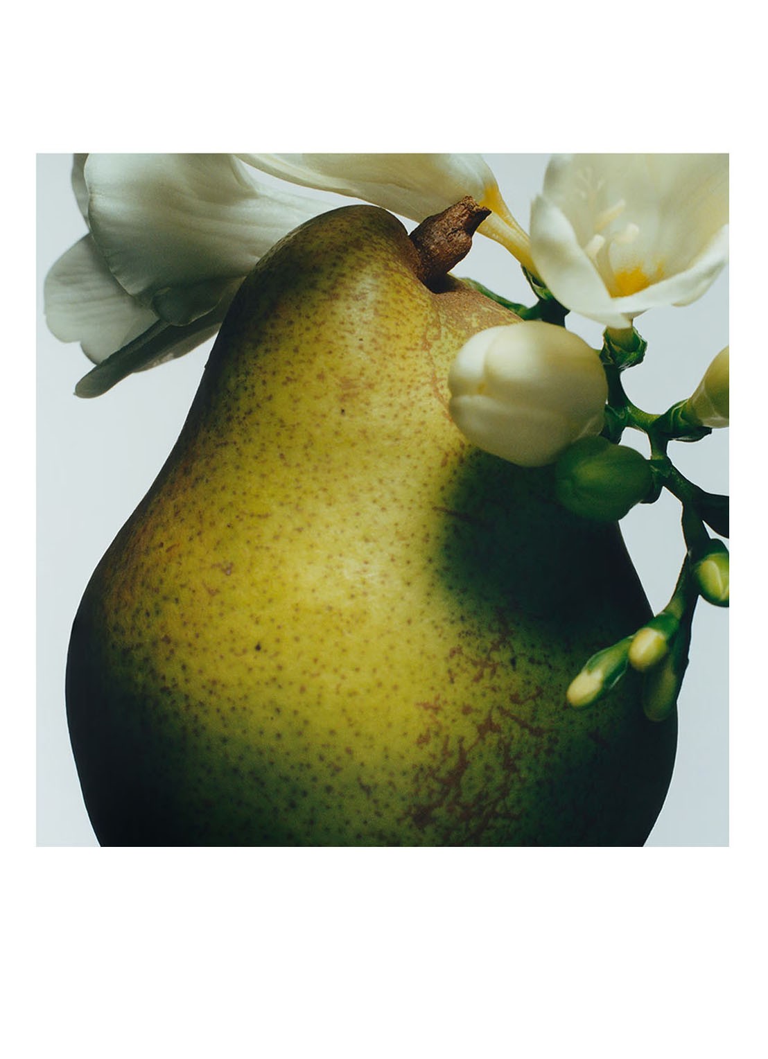Jo Malone London English Pear & Freesia Cologne - detail 4 undefined