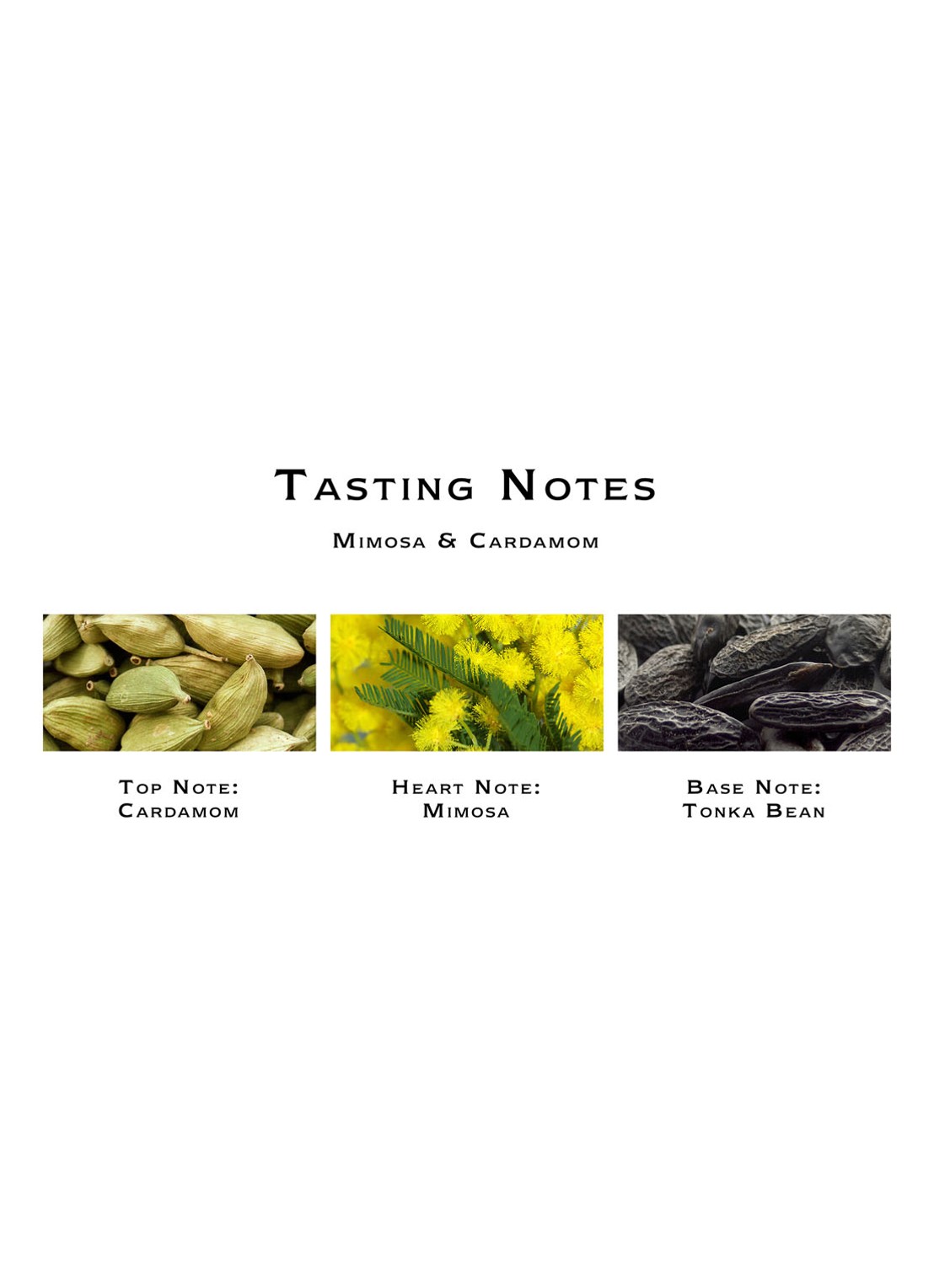 Jo Malone London Mimosa & Cardamom Cologne - detail 5 undefined