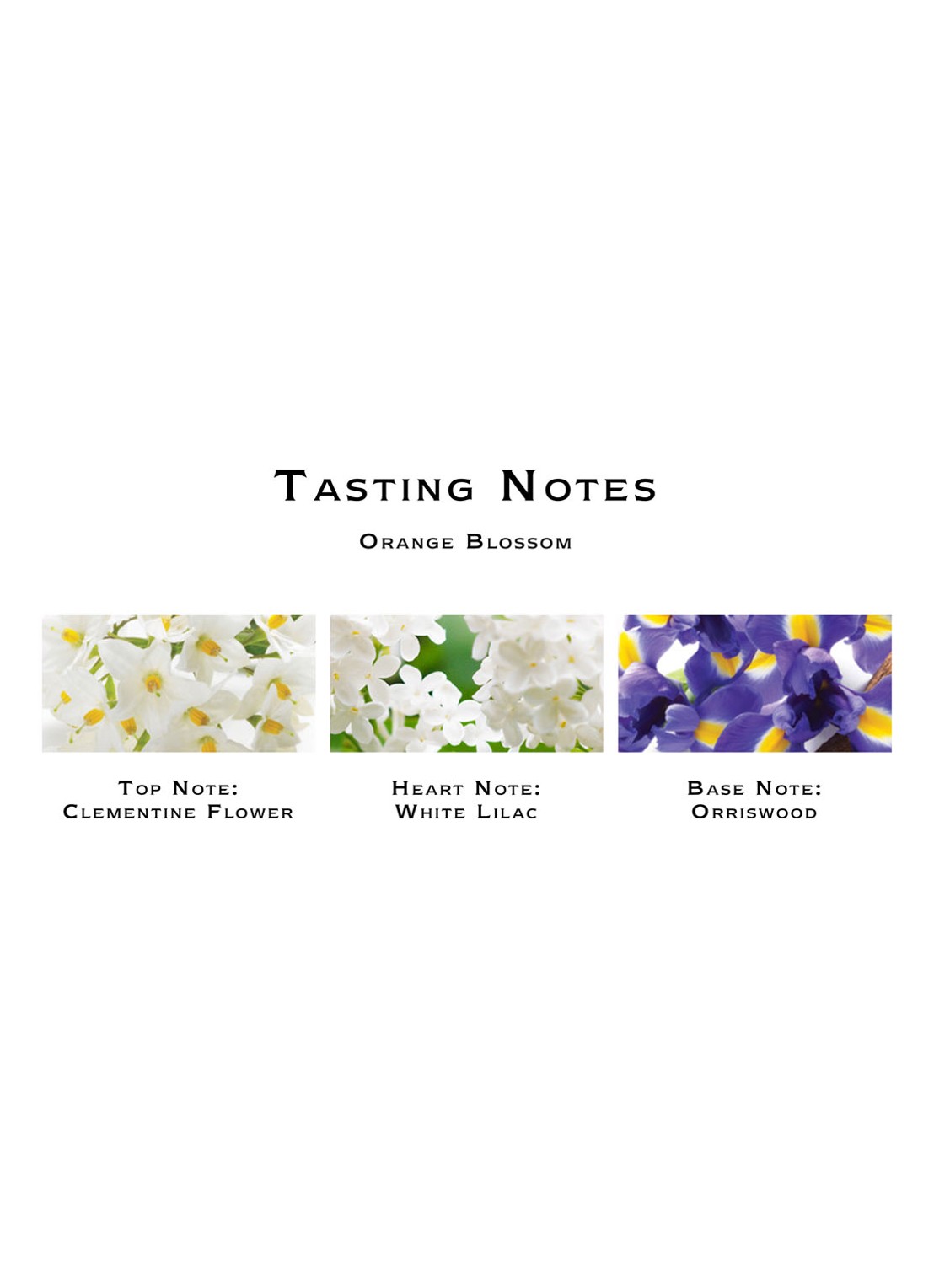 Jo Malone London Orange Blossom Cologne - detail 5 undefined