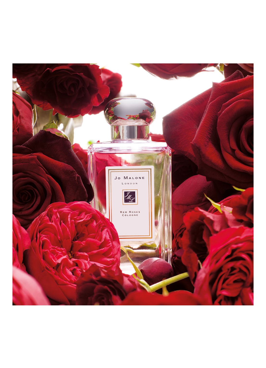 Jo Malone London Red Roses Cologne - detail 3 undefined