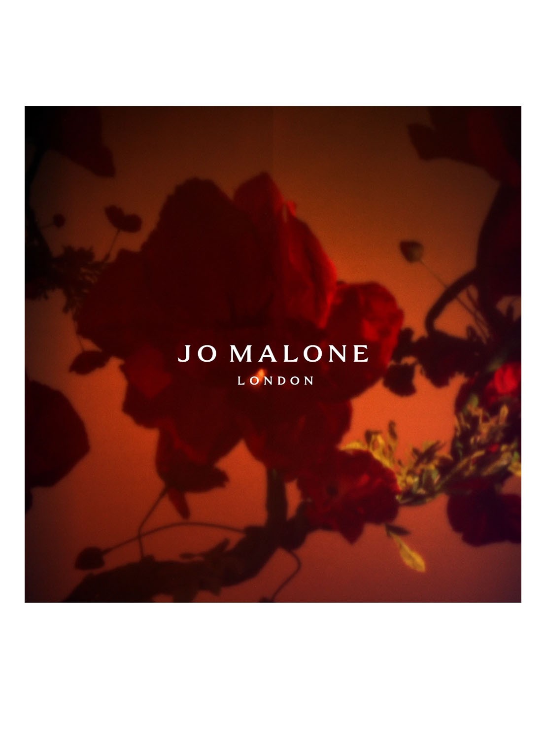 Jo Malone London Scarlet Poppy Cologne - detail 6 undefined