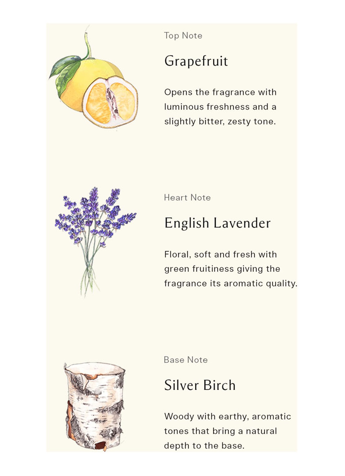 Jo Malone London Silver Brich & Lavender Cologne - detail 4 undefined