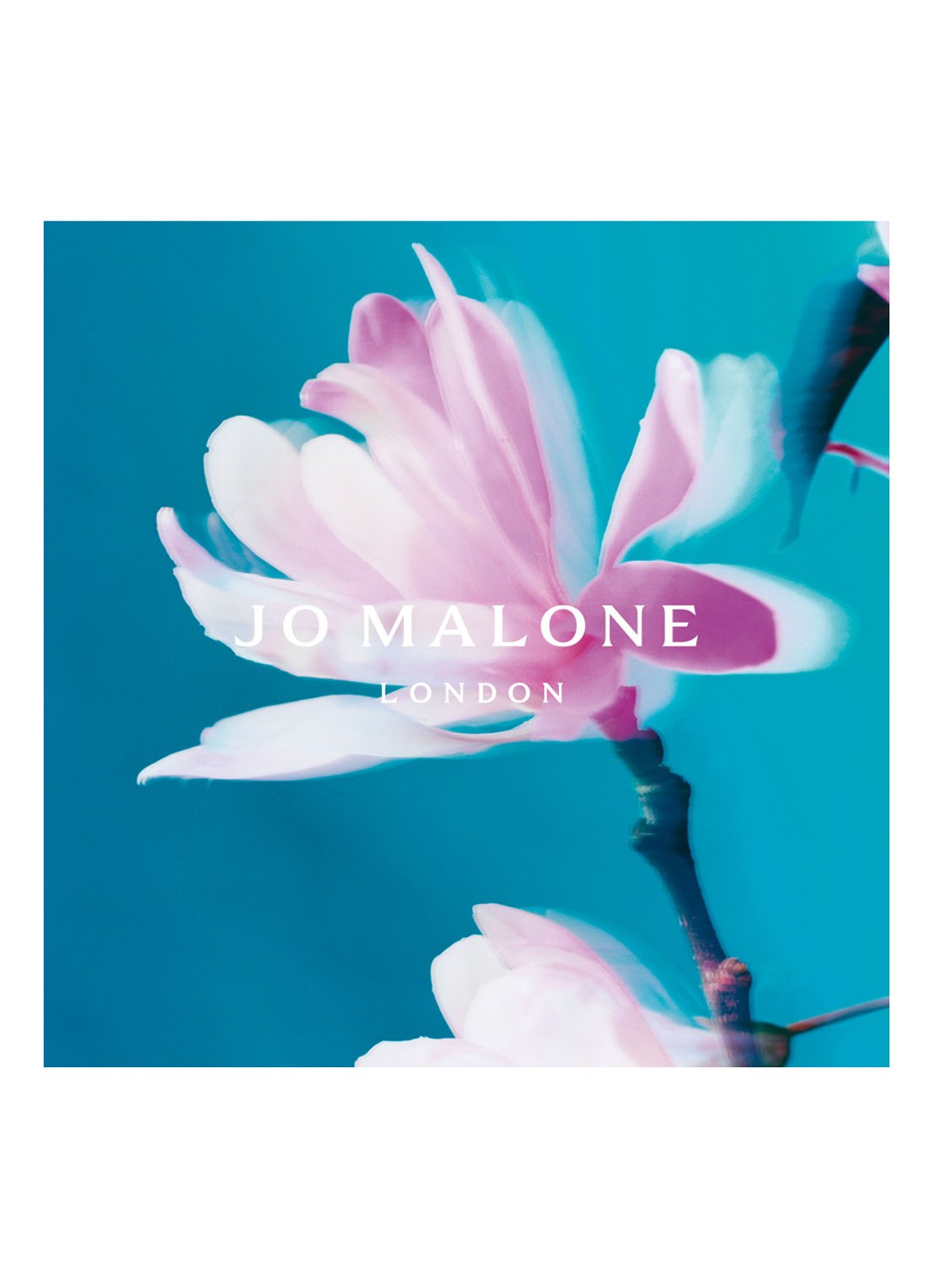 Jo Malone London Star Magnolia Blossom - Limited Edition Cologne - detail 2 undefined
