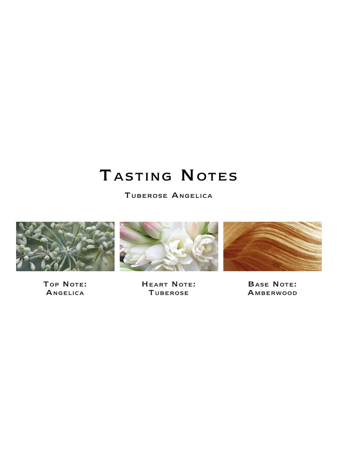 Jo Malone London Tuberose Angelica Body Creme - bodycrème - detail 4 undefined