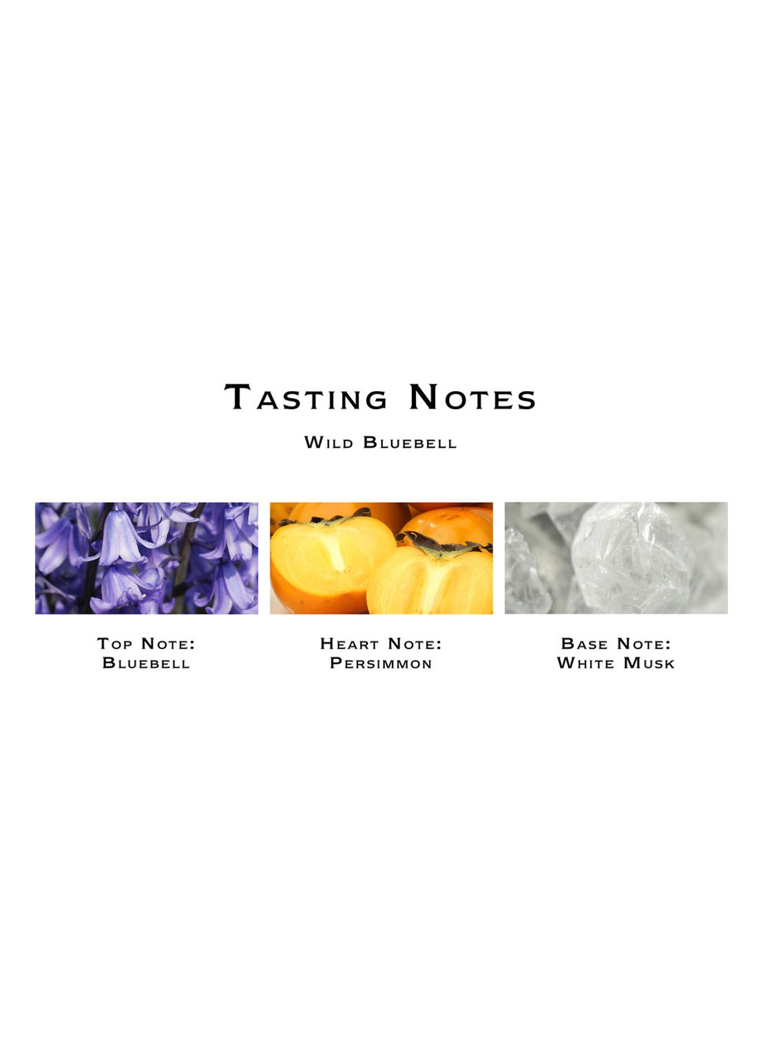 Jo Malone London Wild Bluebell Hair Mist - haarparfum - detail 6 undefined