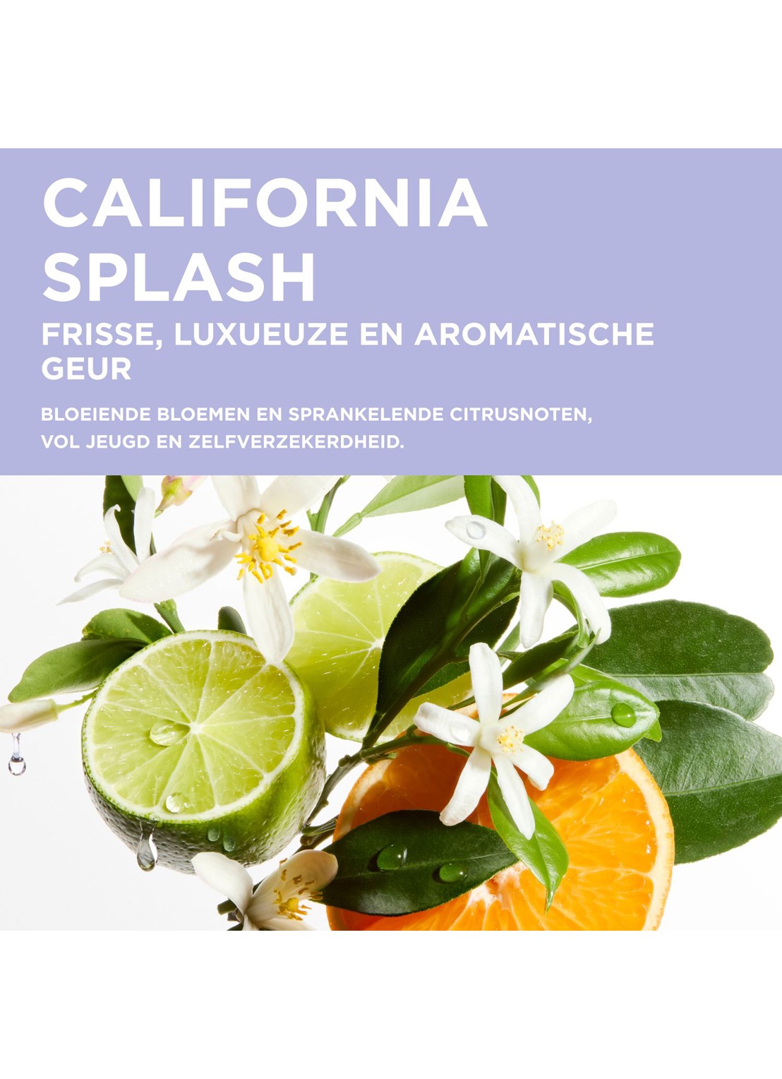 Kérastase Blond Absolu Bain Ultra-Violet - shampoo - detail 5 undefined