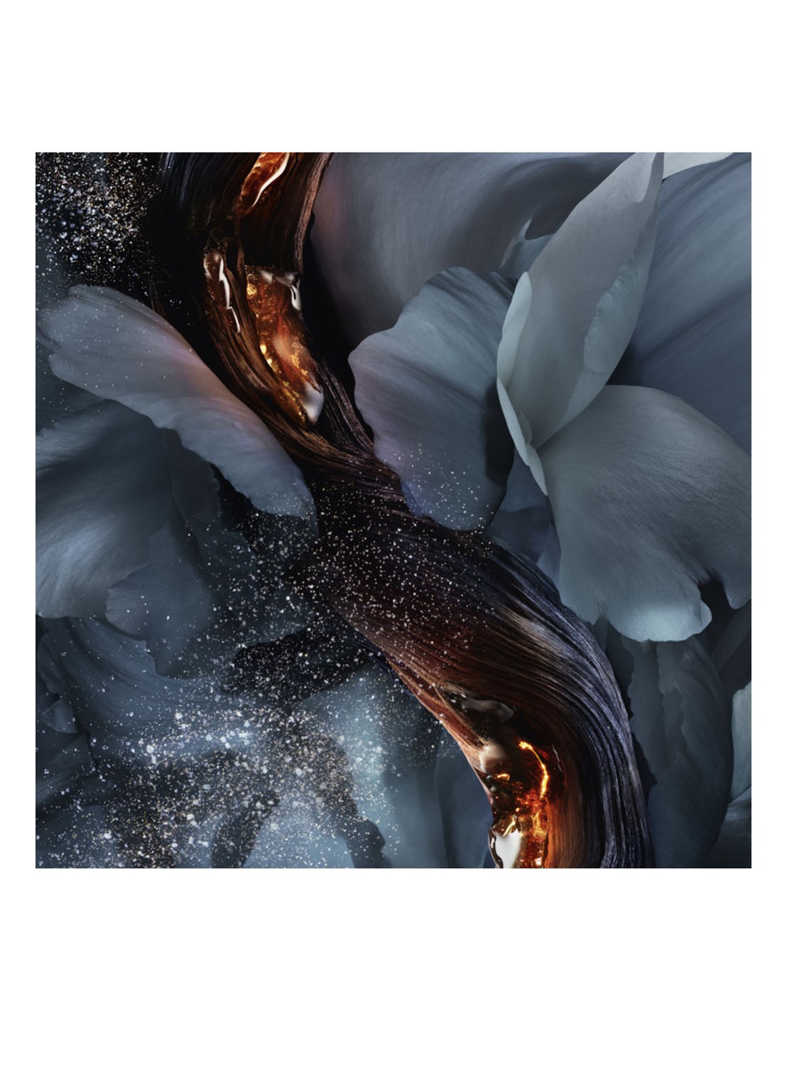 Lancôme Absolue Les Parfums Rose from The Dark Eau de Parfum - detail 4 undefined